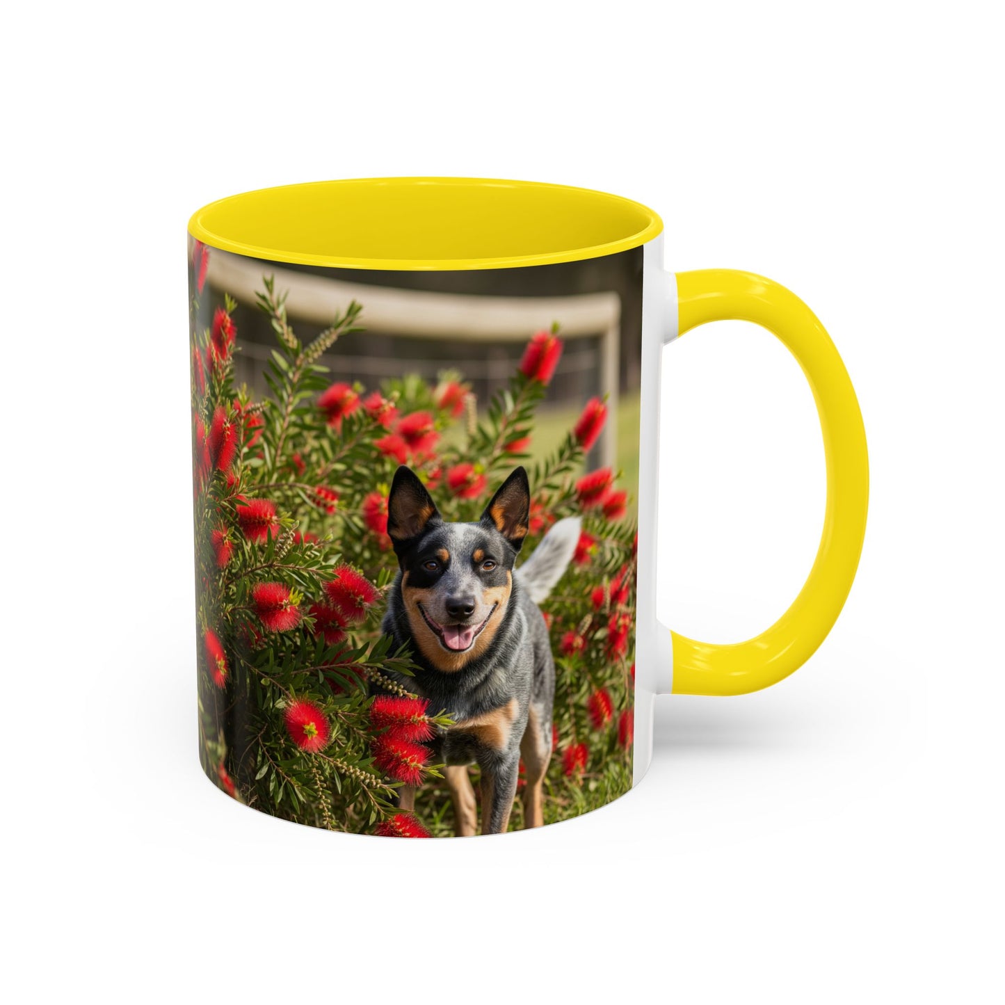 Australian Cattle Dog Accent Coffee Mug - Perfect Gift for Dog Lovers