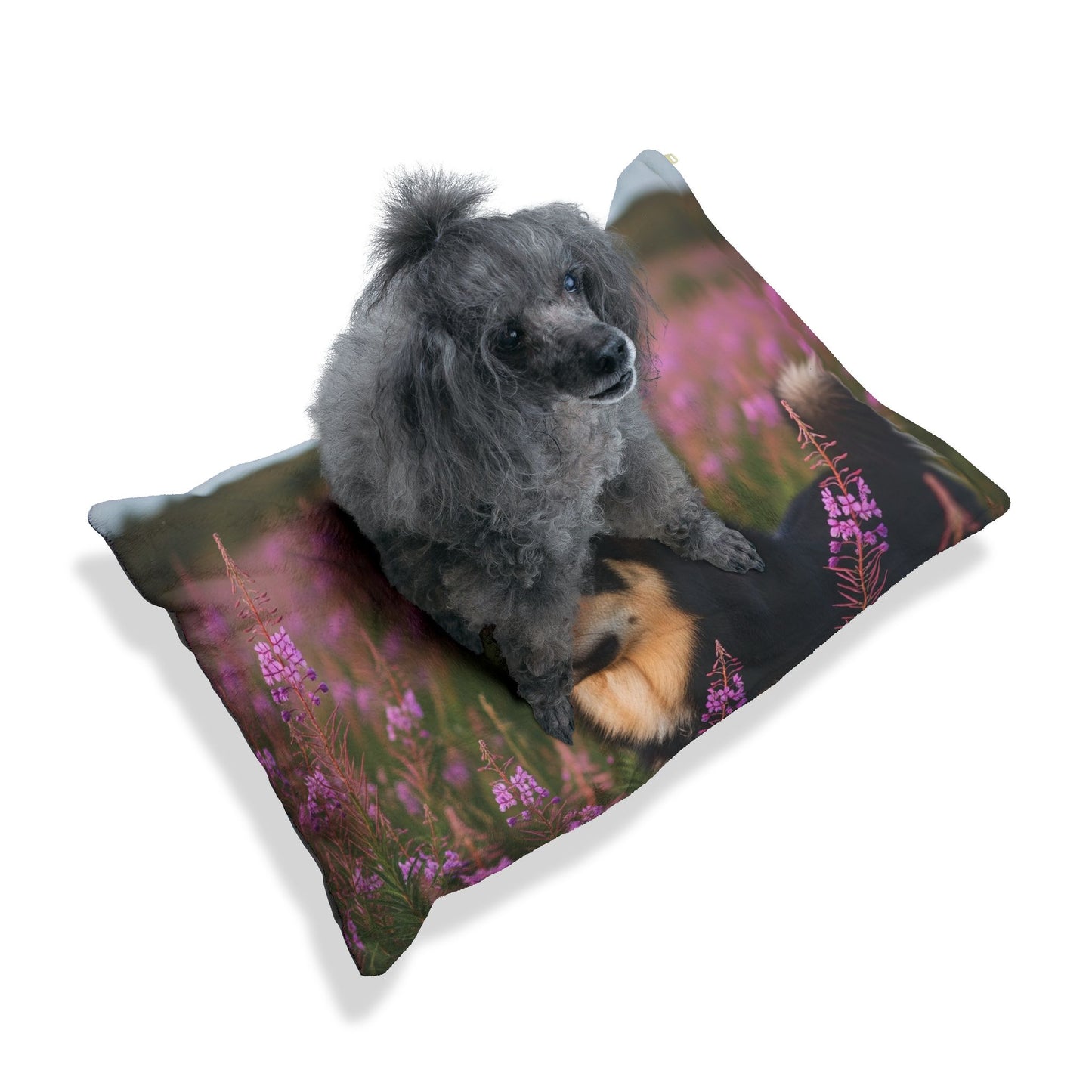 Lapponian Herder Pet Bed