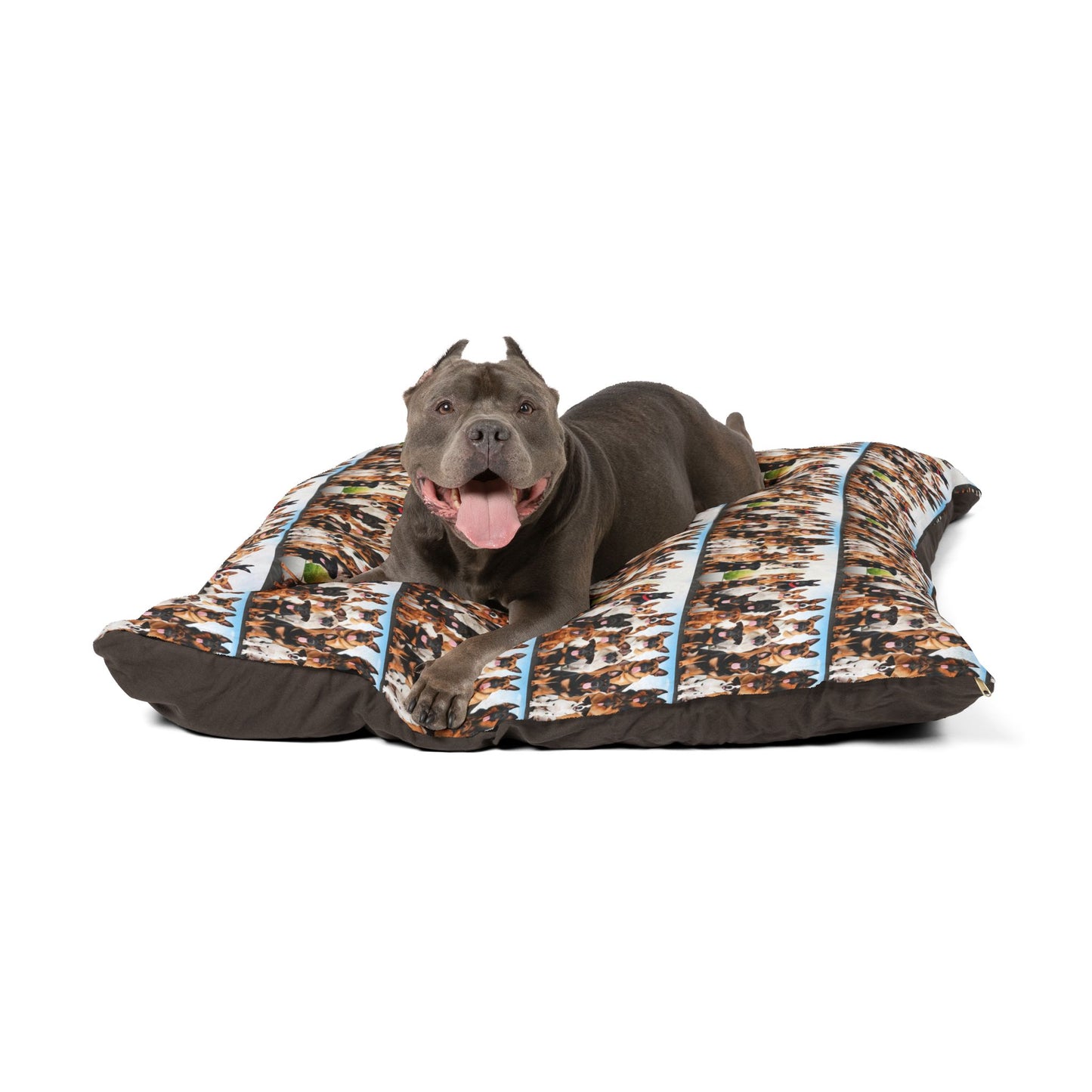 Beste Hunde Pet Bed