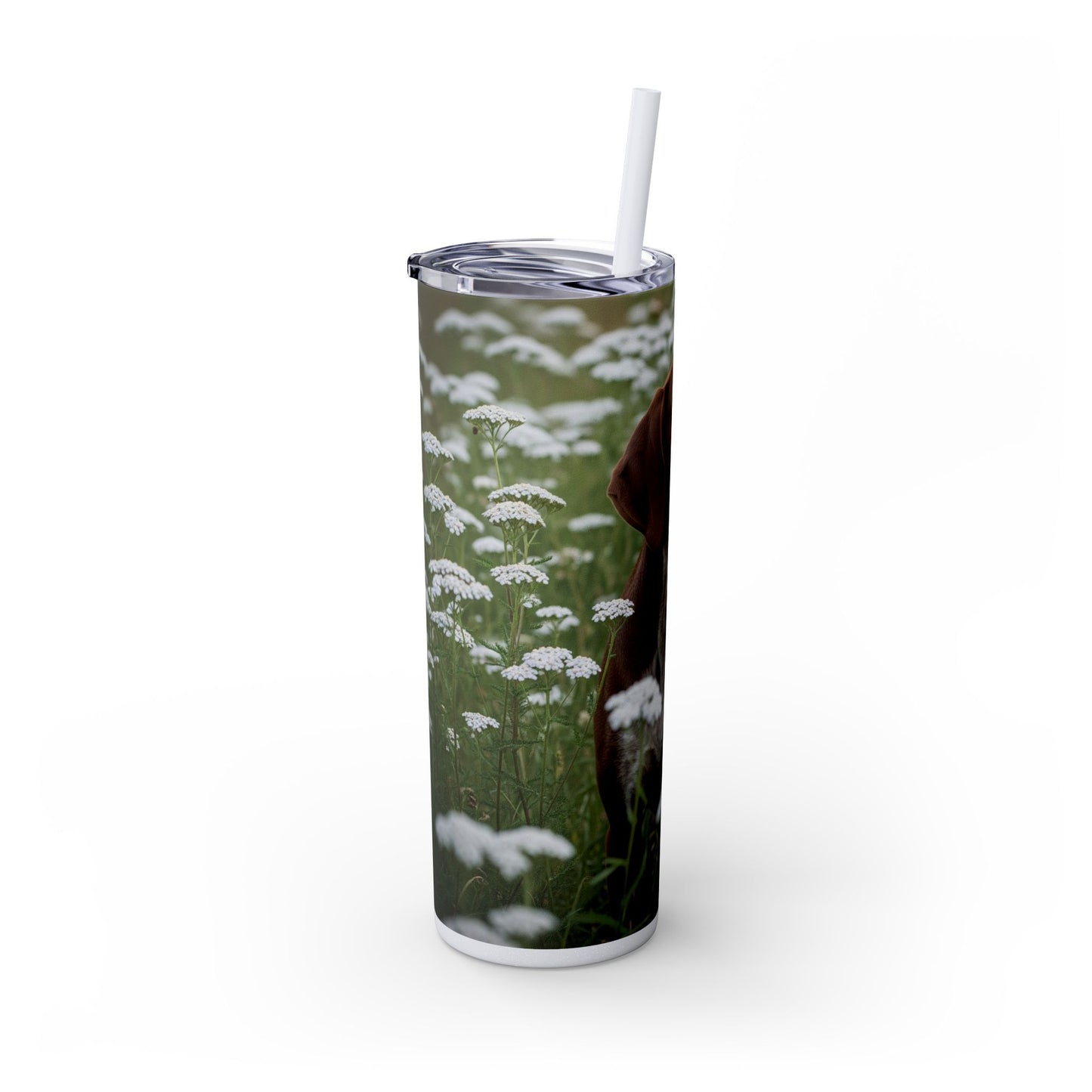 Braque du Bourbonnais Tumbler with Straw, 20oz