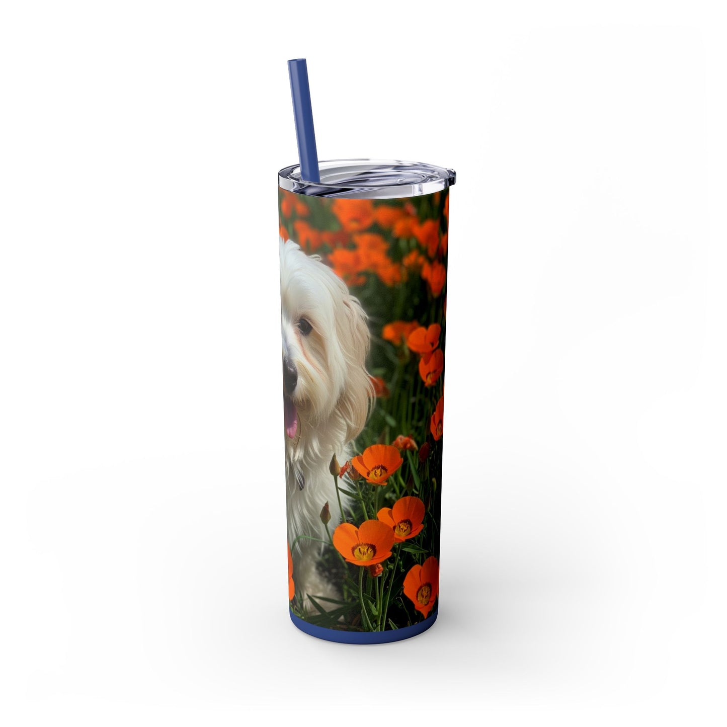 Havanese Tumbler with Straw, 20oz