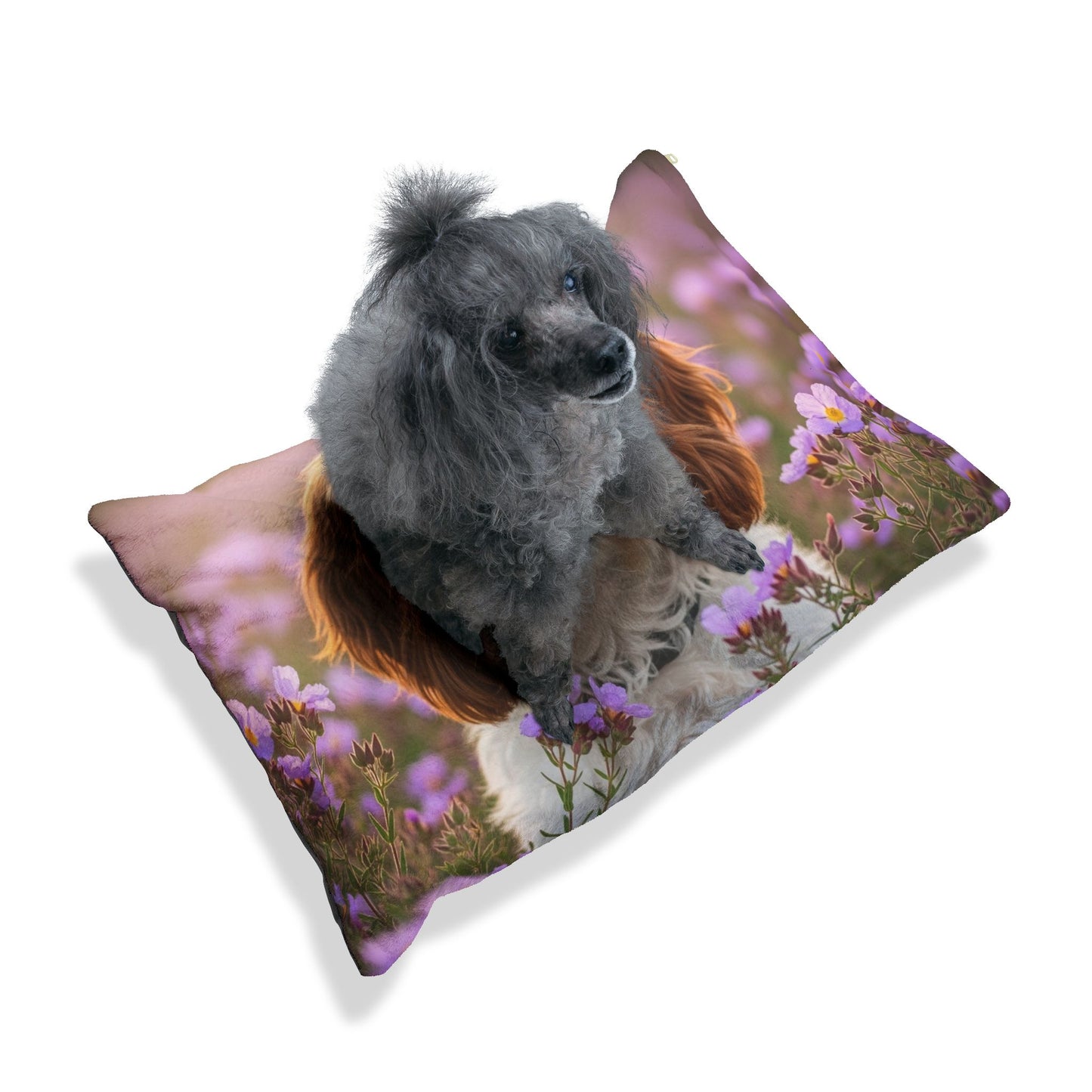 Cockabull Pet Bed