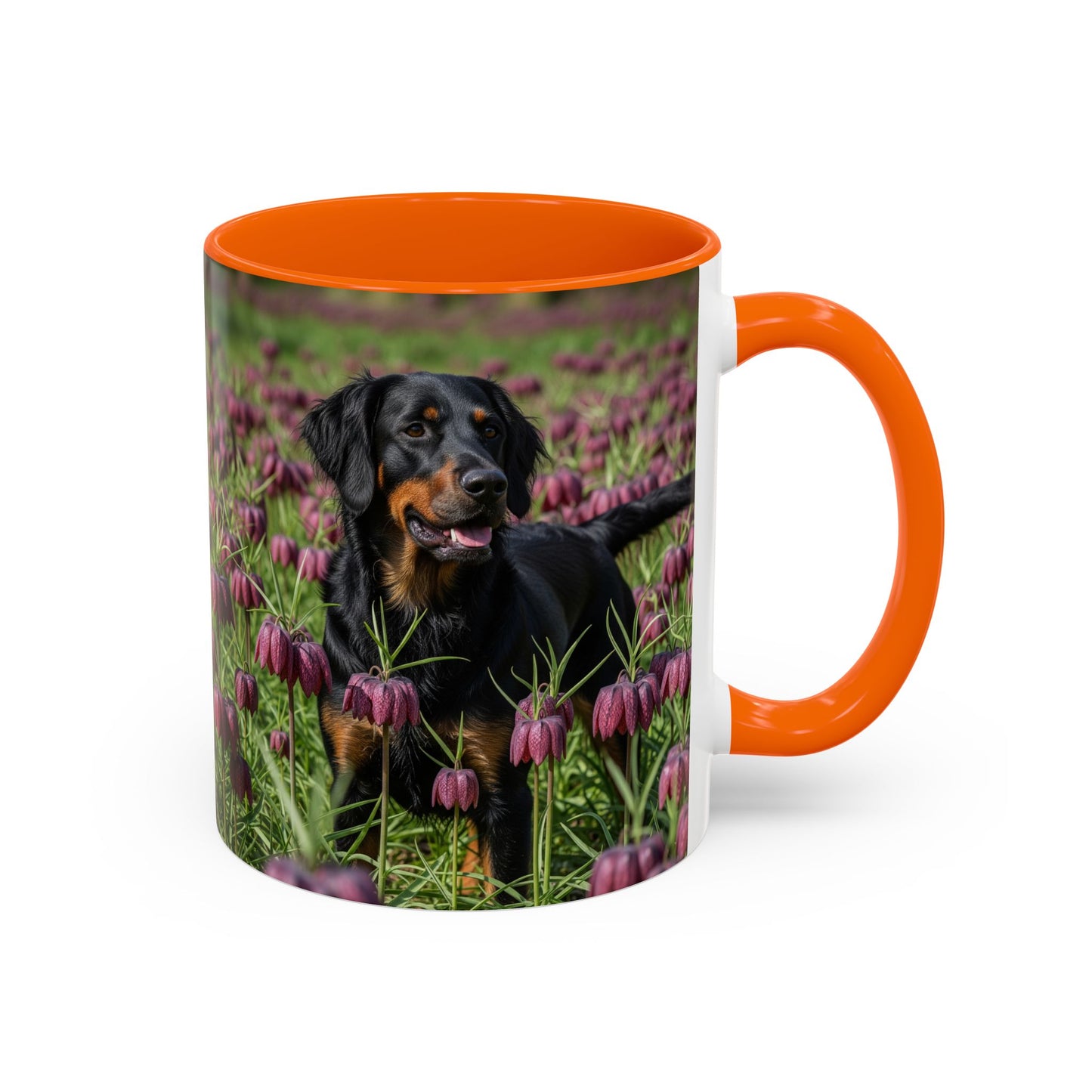 Wetterhoun Accent Coffee Mug - Perfect Gift for Dog Lovers