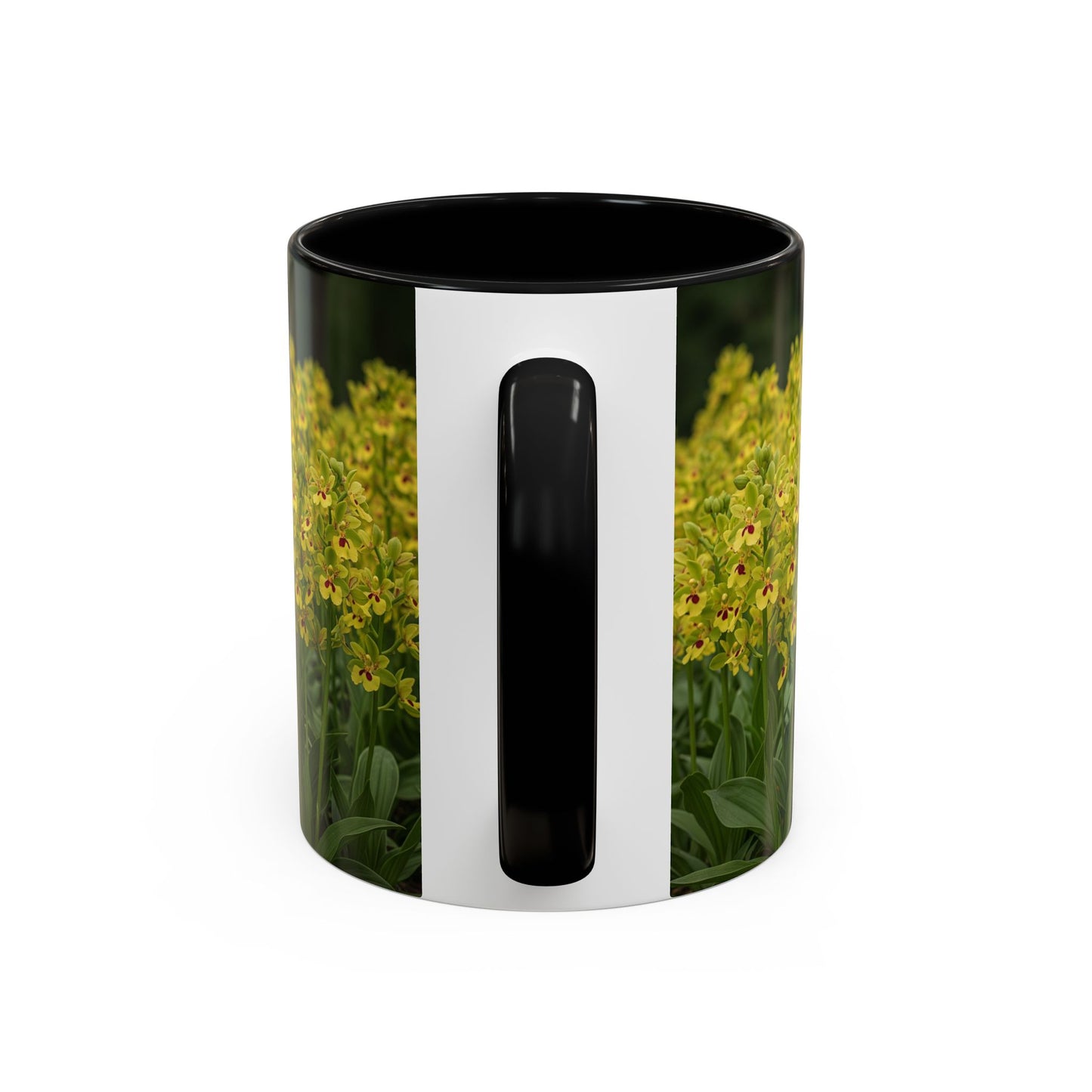 Basenji Accent Coffee Mug - Perfect Gift for Dog Lovers