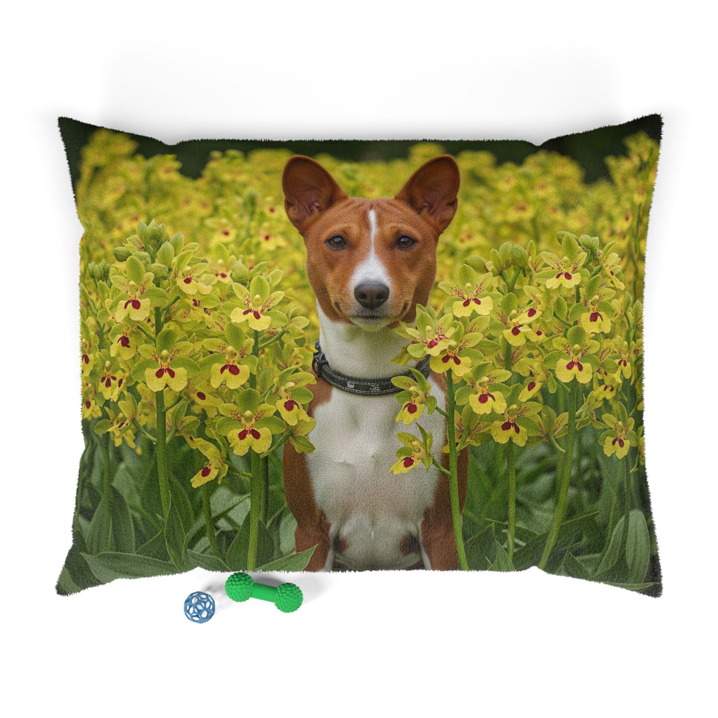 Basenji Pet Bed