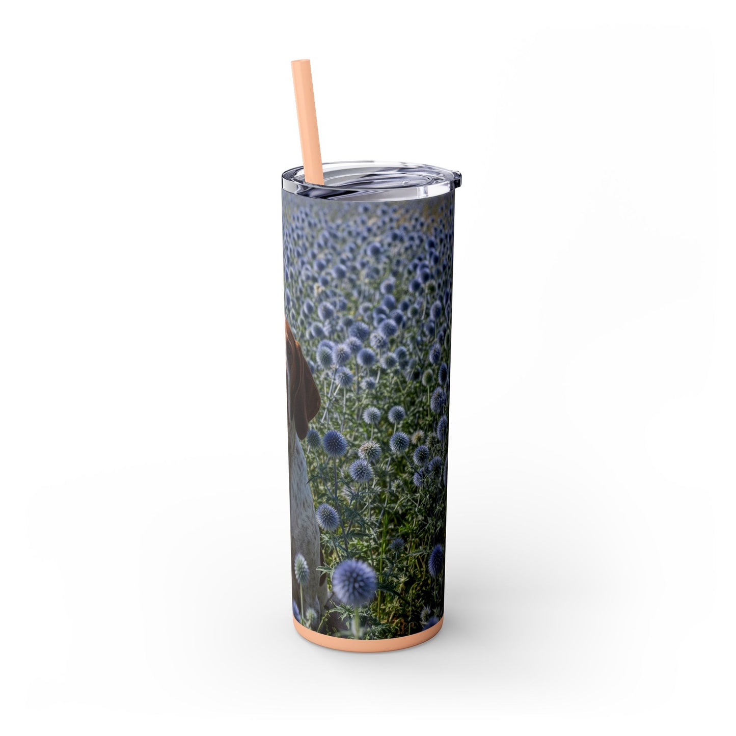 Braque Francais Pyrenean Tumbler with Straw, 20oz