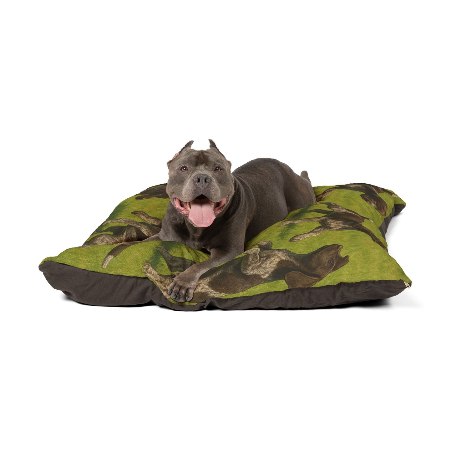 German Shorthaired Pointer puppies Pet Bed
