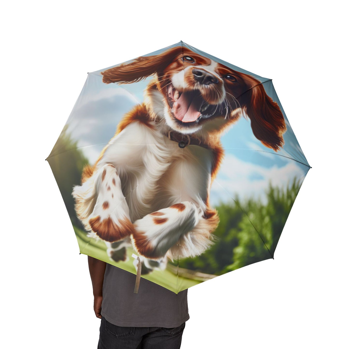 Welsh Springer Spaniel Semi-Automatic Foldable Umbrella