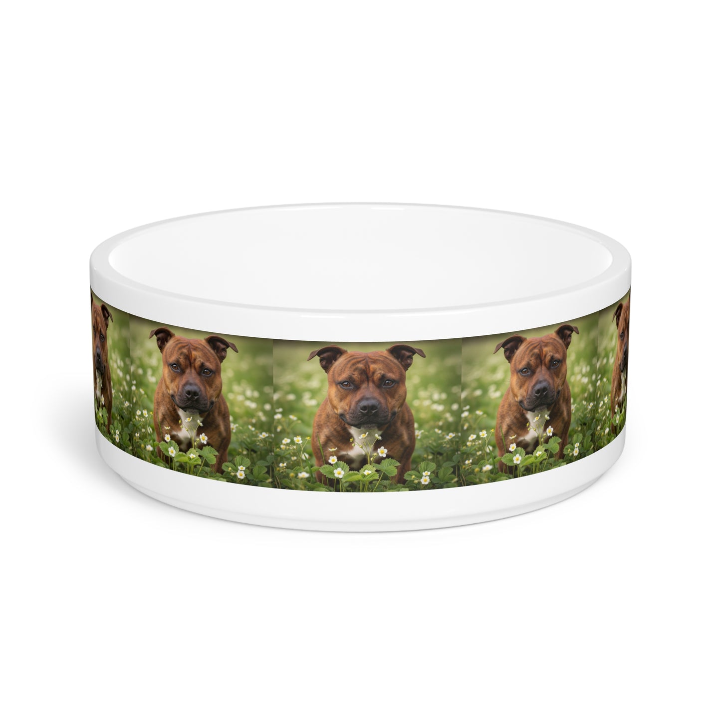 Staffordshire Bull Terrier Pet Bowl