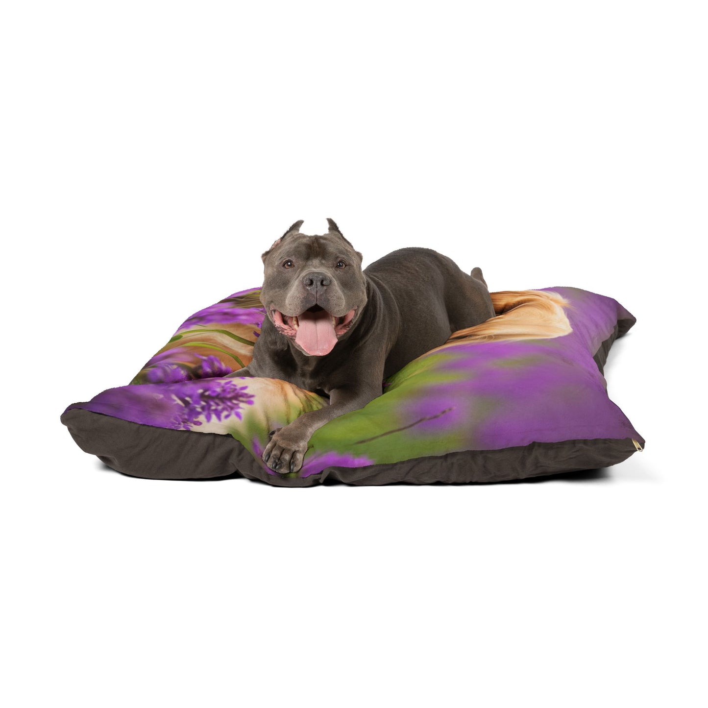 Golden Retriever Pet Bed