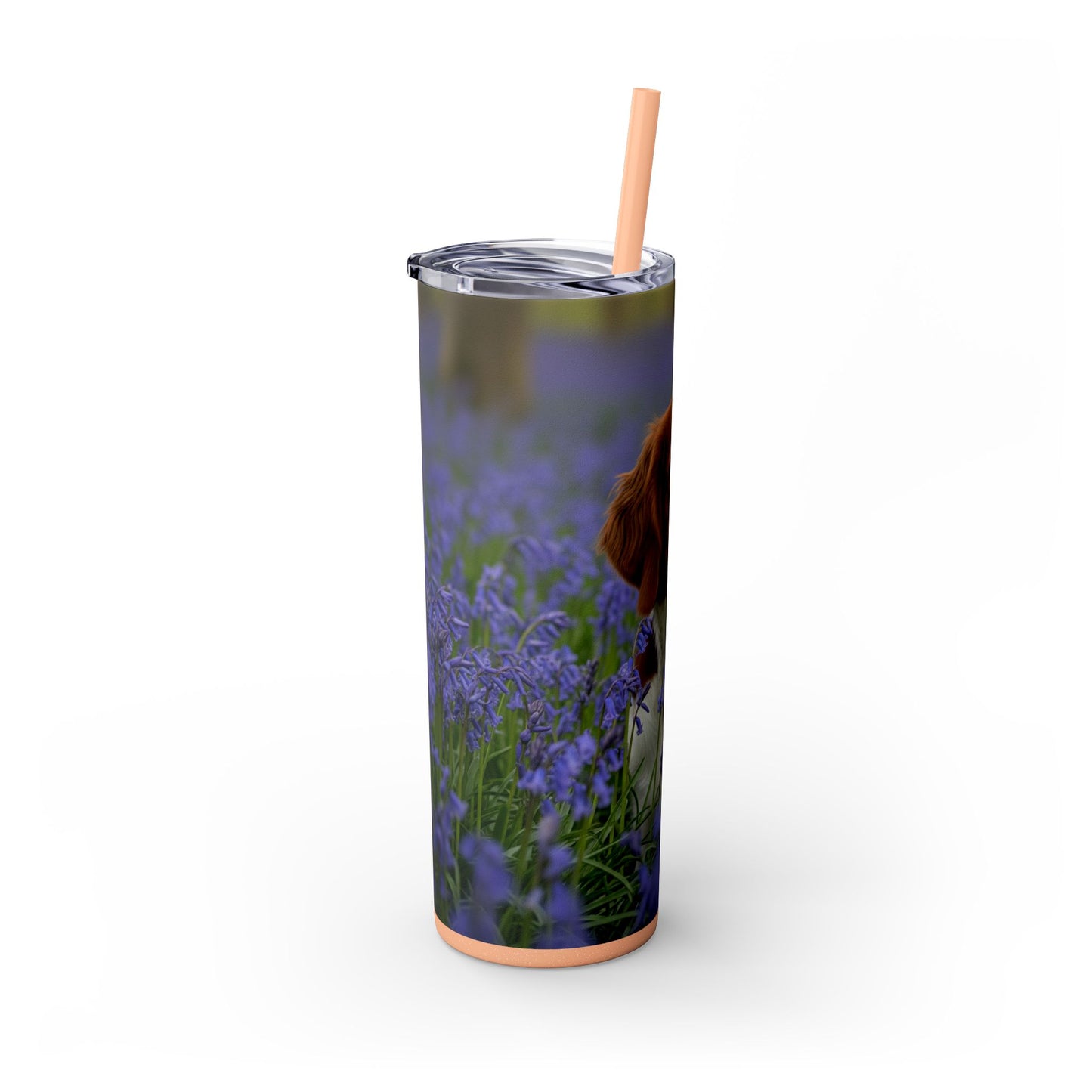 Welsh Springer Spaniel Skinny Tumbler with Straw, 20oz