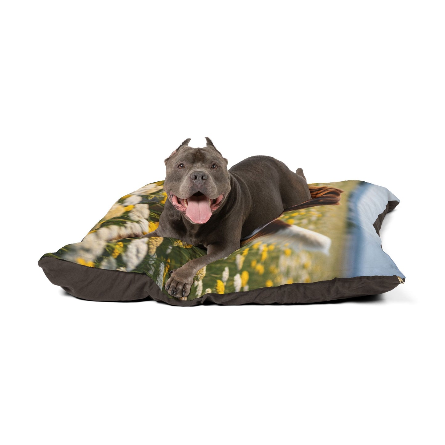 Drentsche Patrijshond Pet Bed