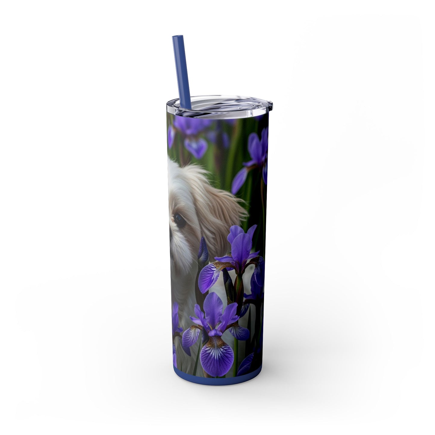 Shihchon Tumbler with Straw, 20oz