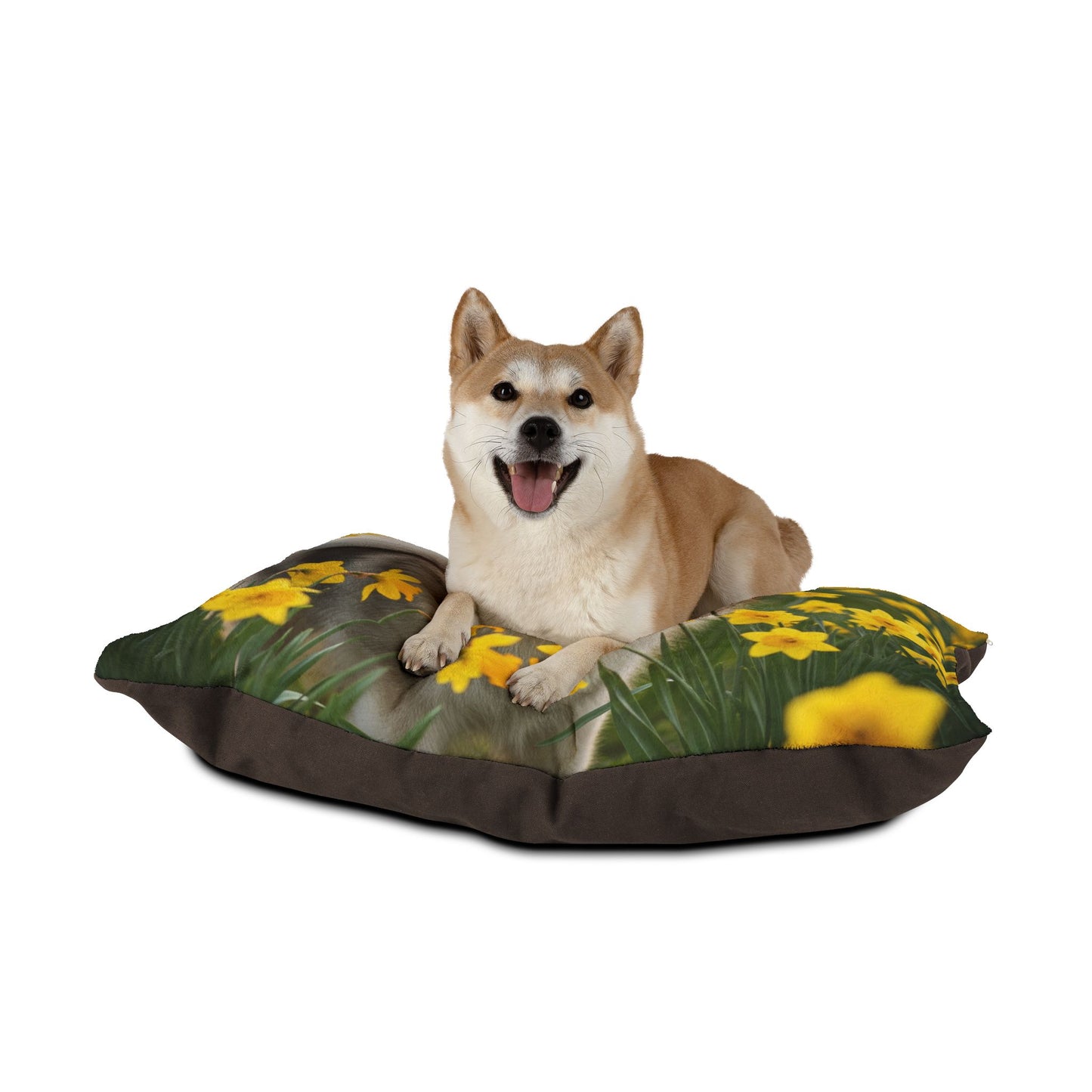 Keeshond Pet Bed