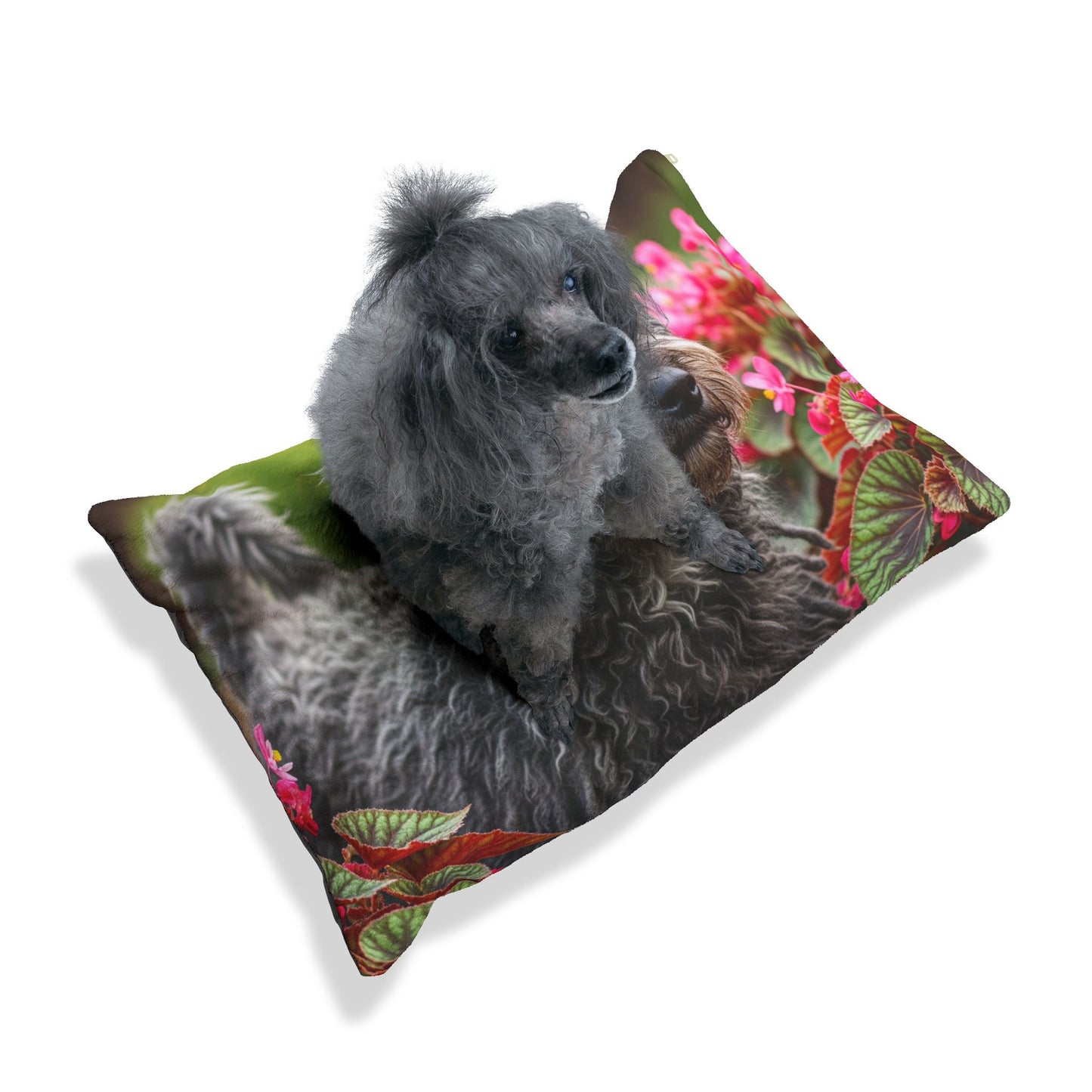 Puli Pet Bed