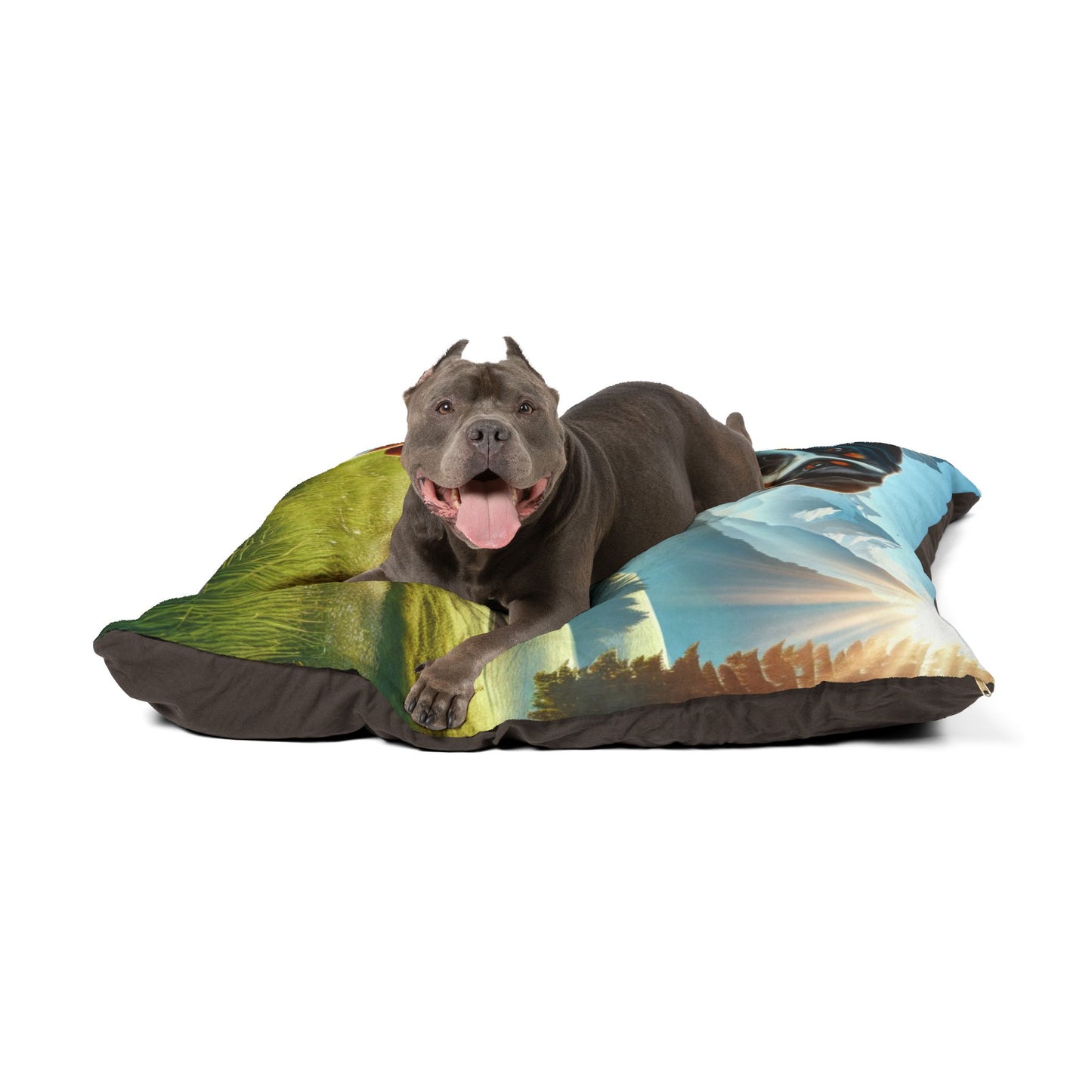 Entlebucher Mountain Dog Pet Bed