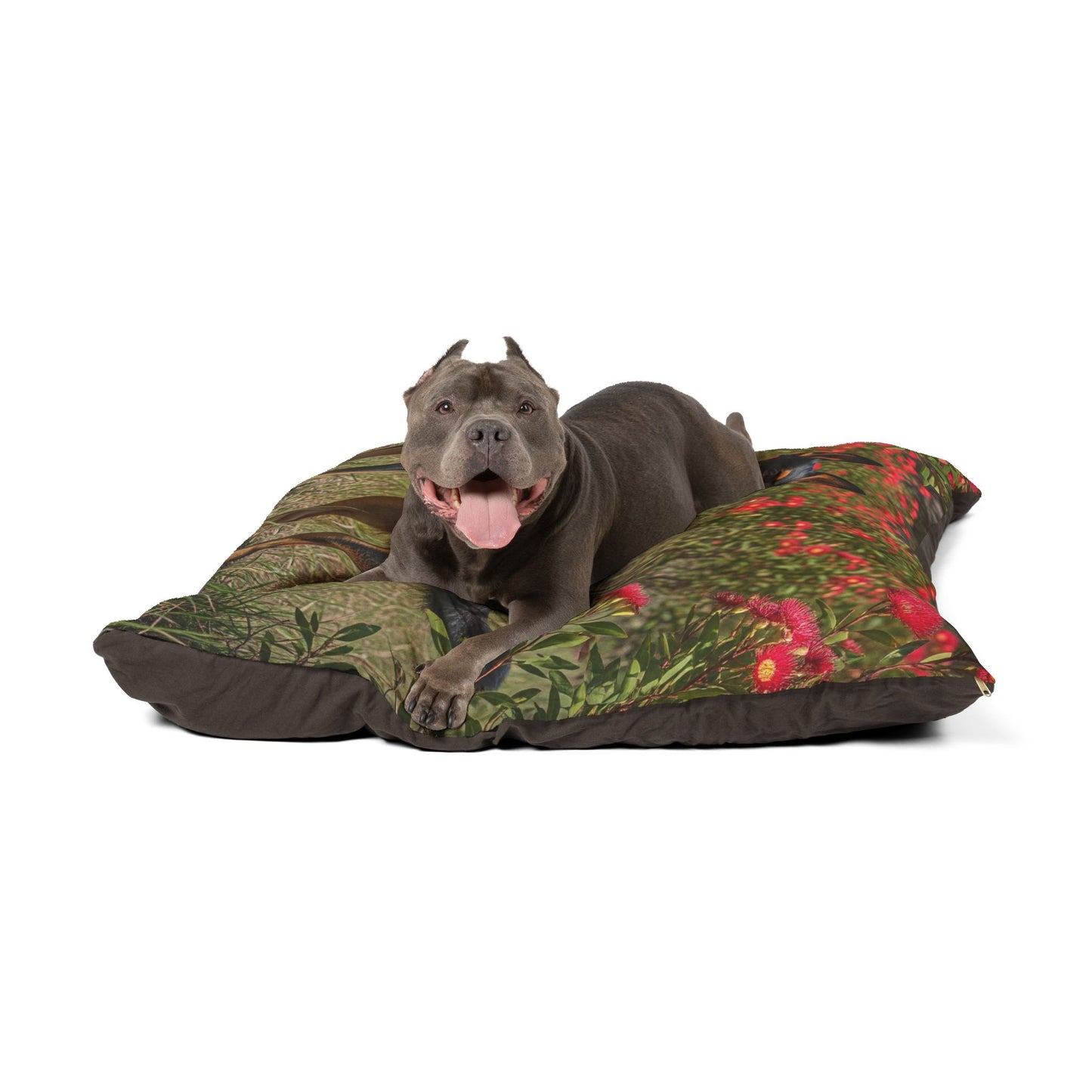 Australian Kelpie Pet Bed