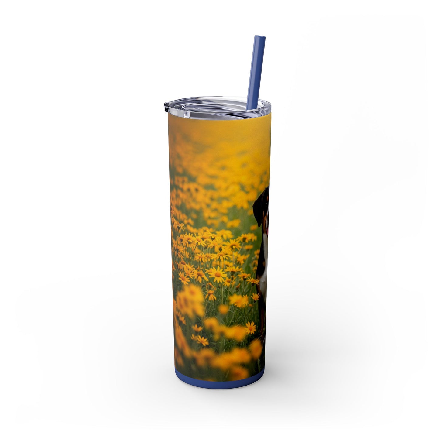 Entlebucher Mountain Dog Skinny Tumbler with Straw, 20oz