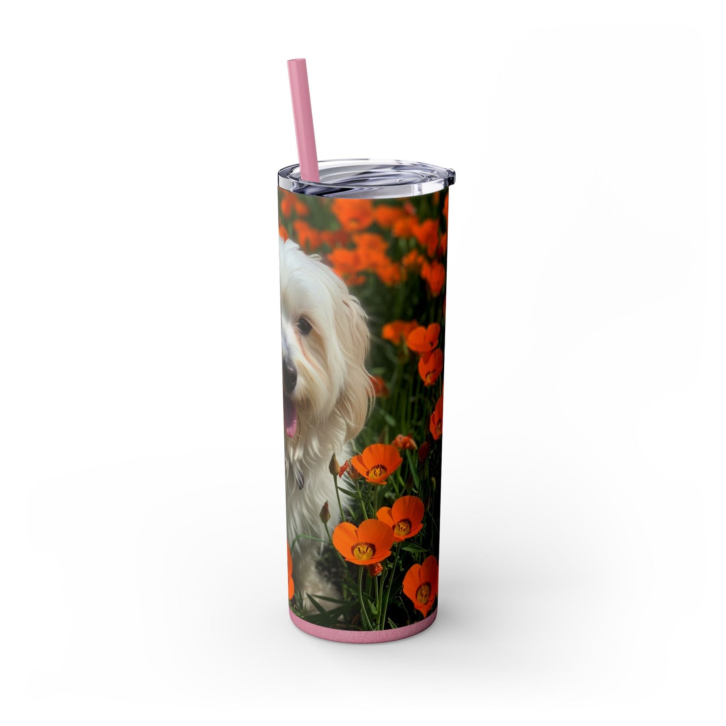 Havanese Tumbler with Straw, 20oz