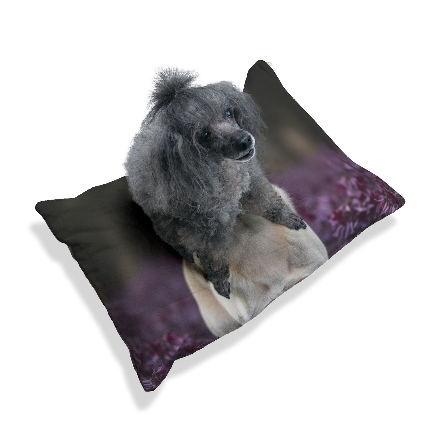 Thai Bangkaew Pet Bed