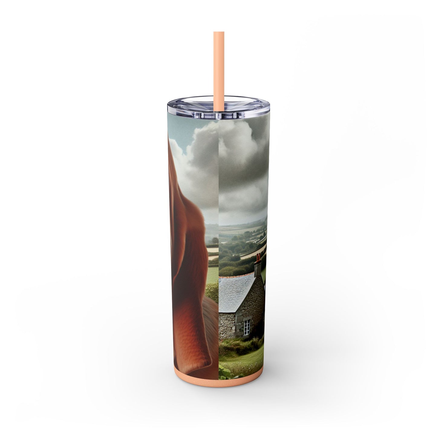 Basset Fauve de Bretagne Tumbler with Straw, 20oz