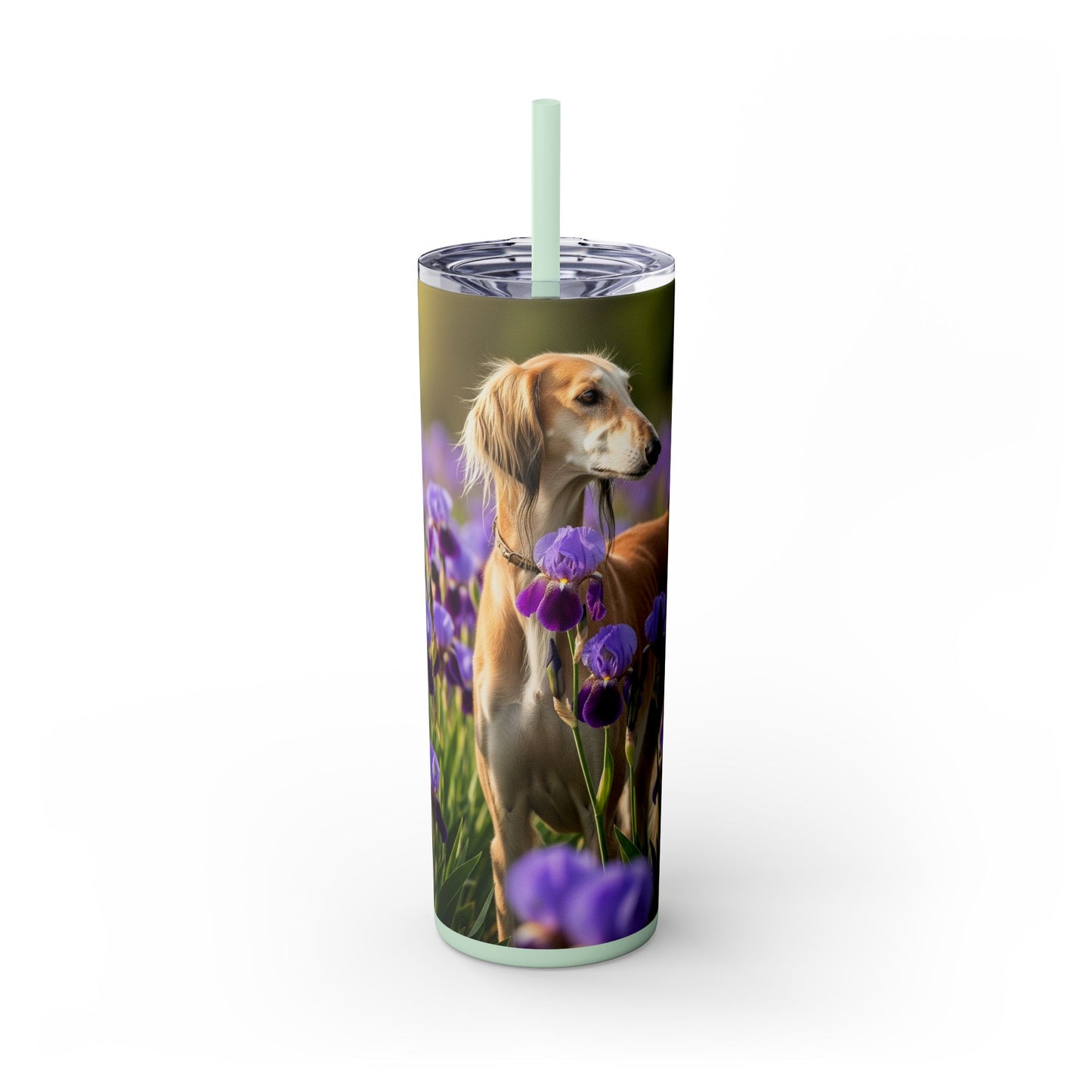 Saluki Tumbler with Straw, 20oz