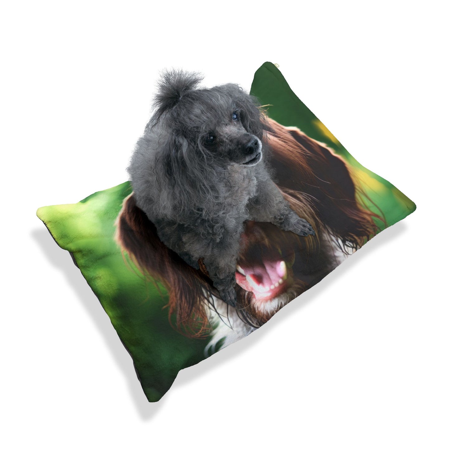 German Wirehaired Pointer Pet Bed