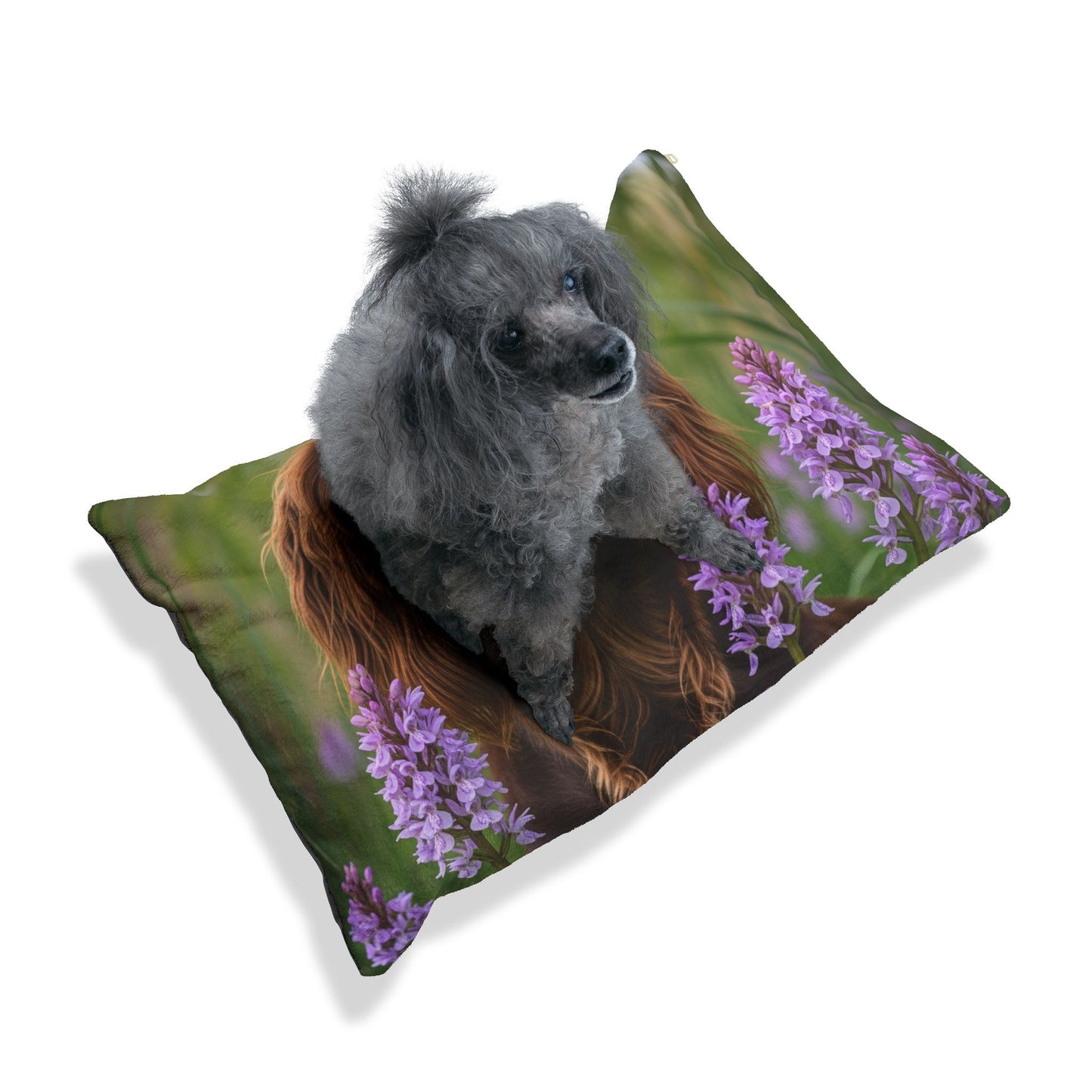 Pont-Audemer Spaniel Pet Bed