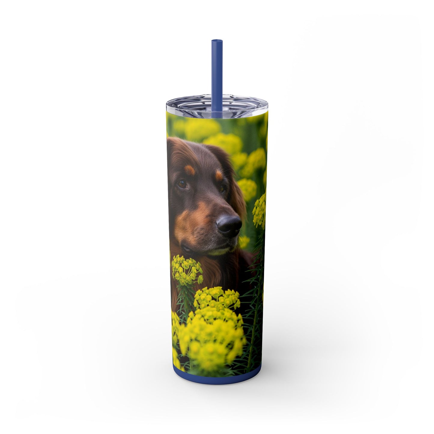 Hovawart Tumbler with Straw, 20oz