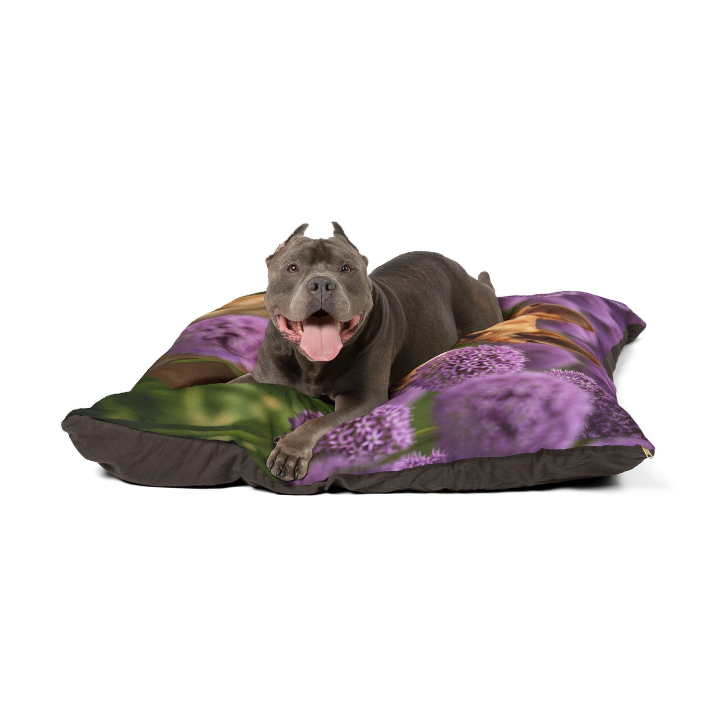 Canaan Dog Pet Bed