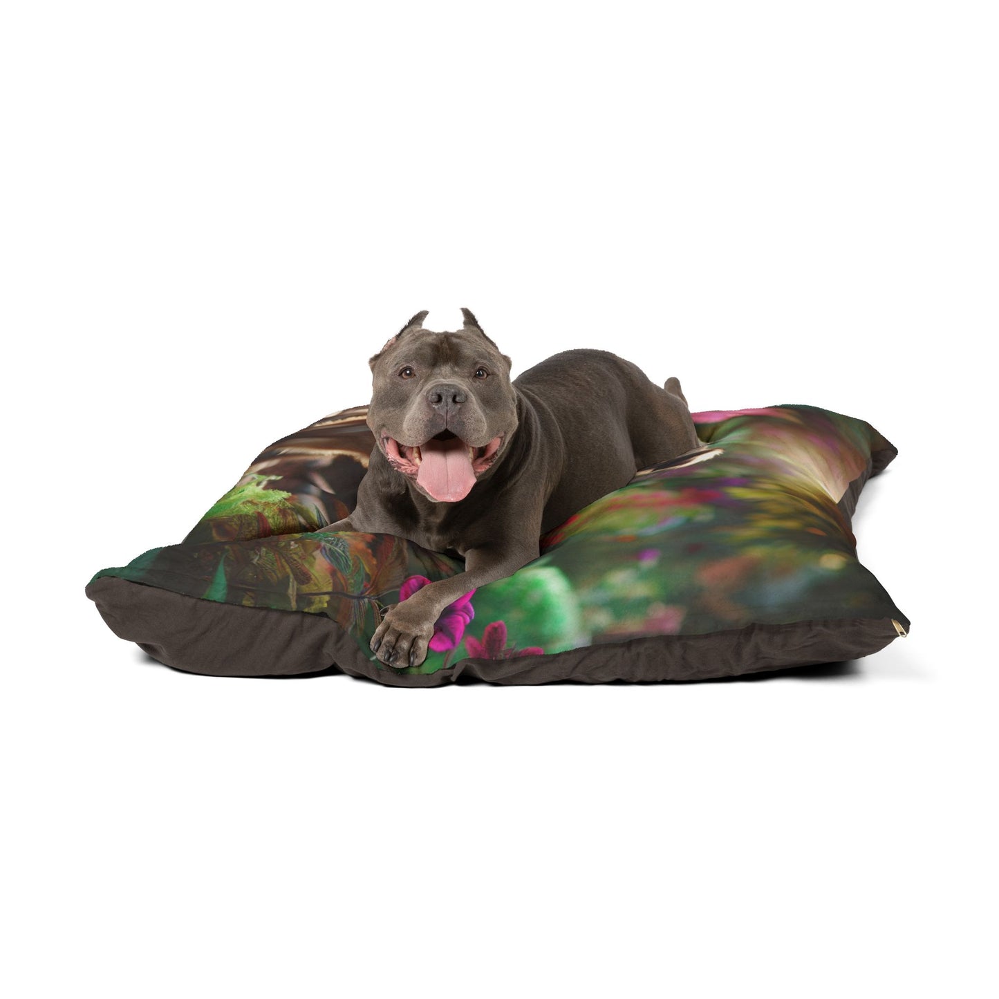 Peruvian Inca Orchid Pet Bed