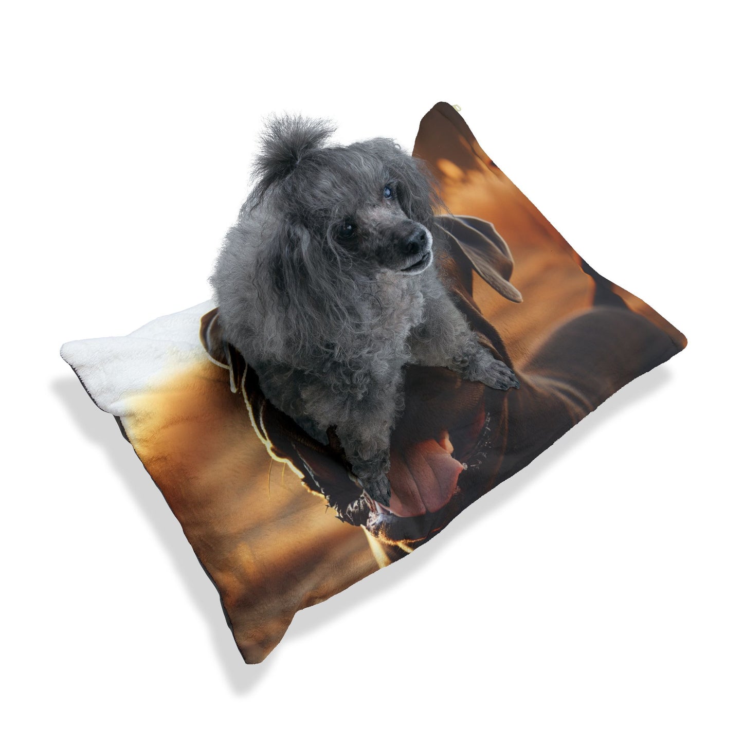 Cane Corso Pet Bed