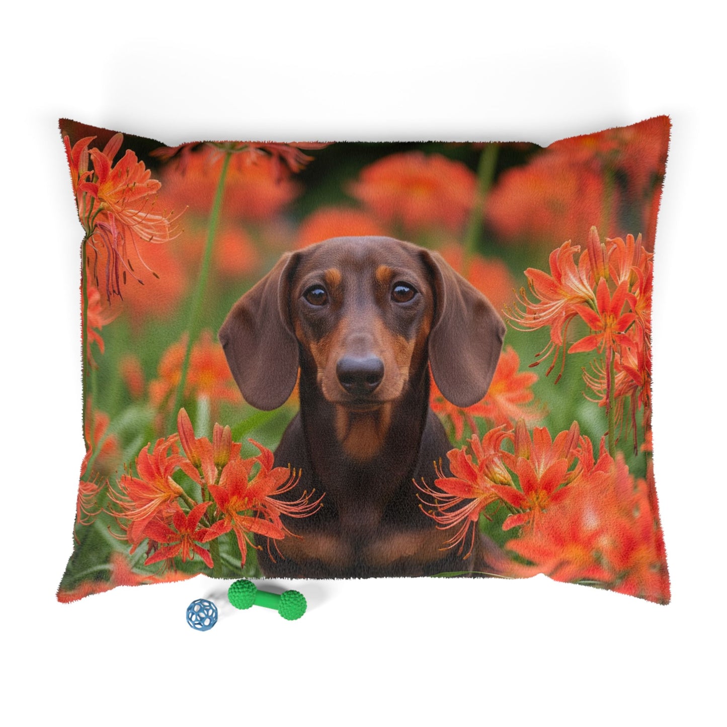 Dachshund Pet Bed