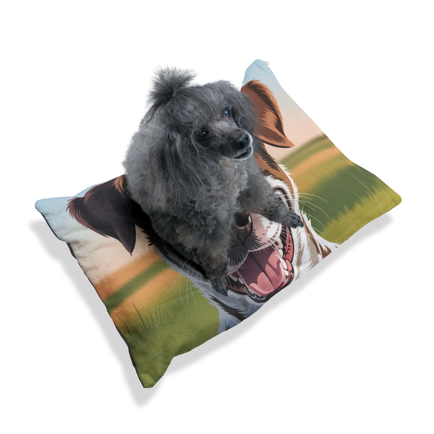 Telomian Pet Bed