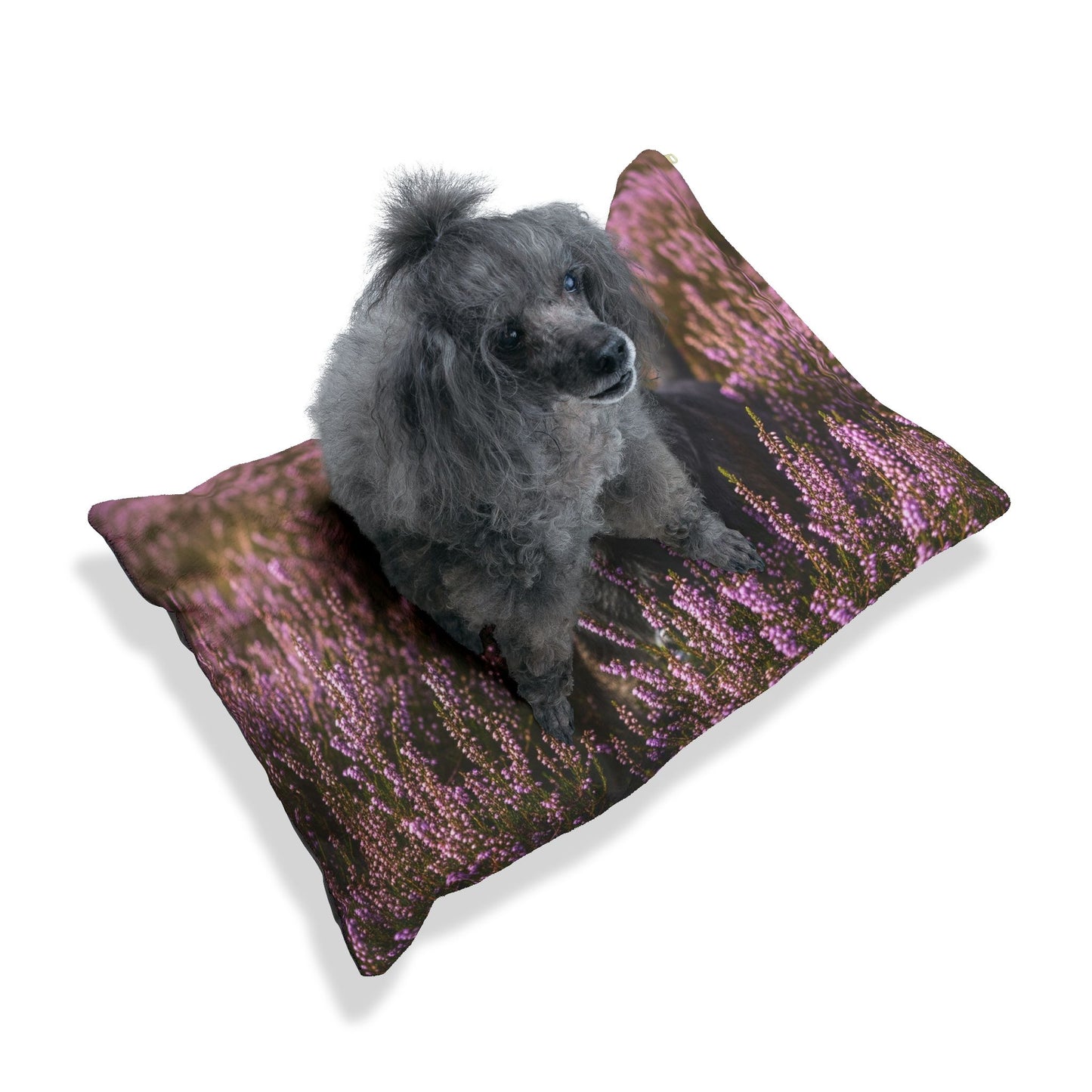 Glen of Imaal Terrier Pet Bed