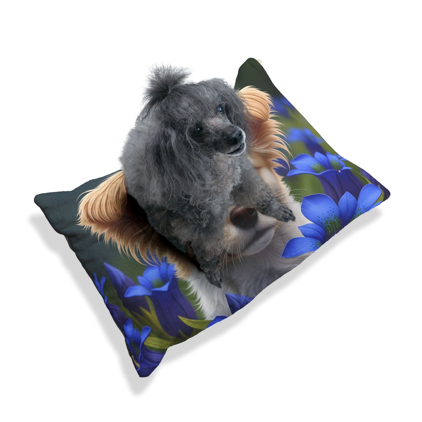 Toi Leo Pet Bed