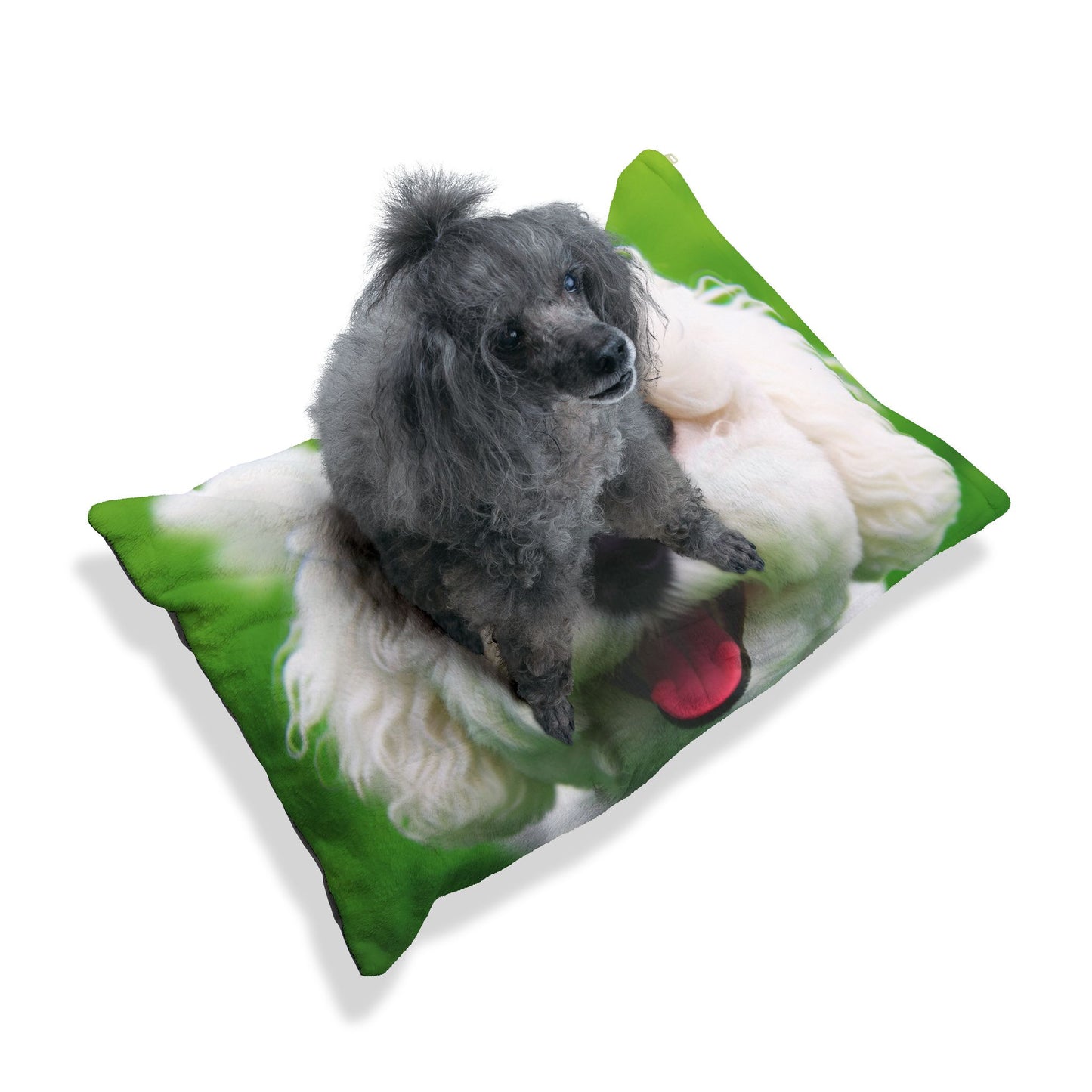 Bichonpoo Pet Bed