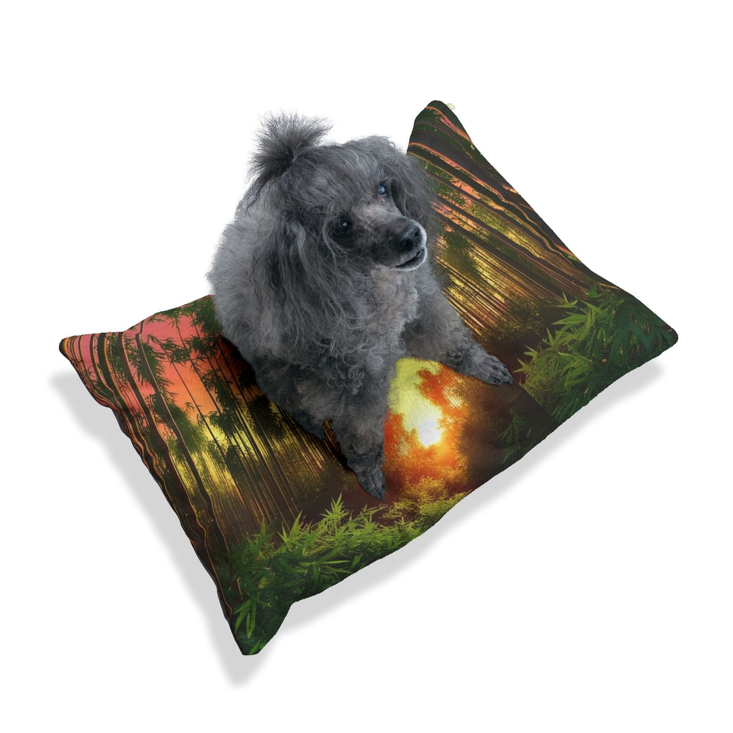 Bamboo Forest Sunrise Pet Bed