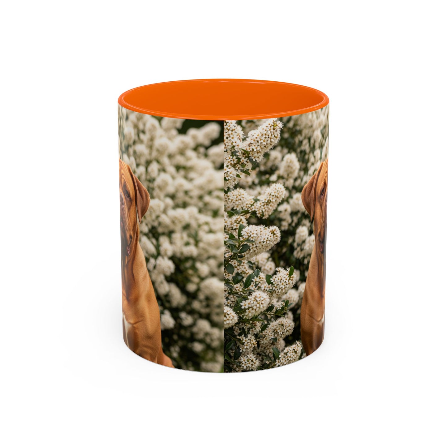 Dogue de Bordeaux Accent Coffee Mug - Perfect Gift for Dog Lovers