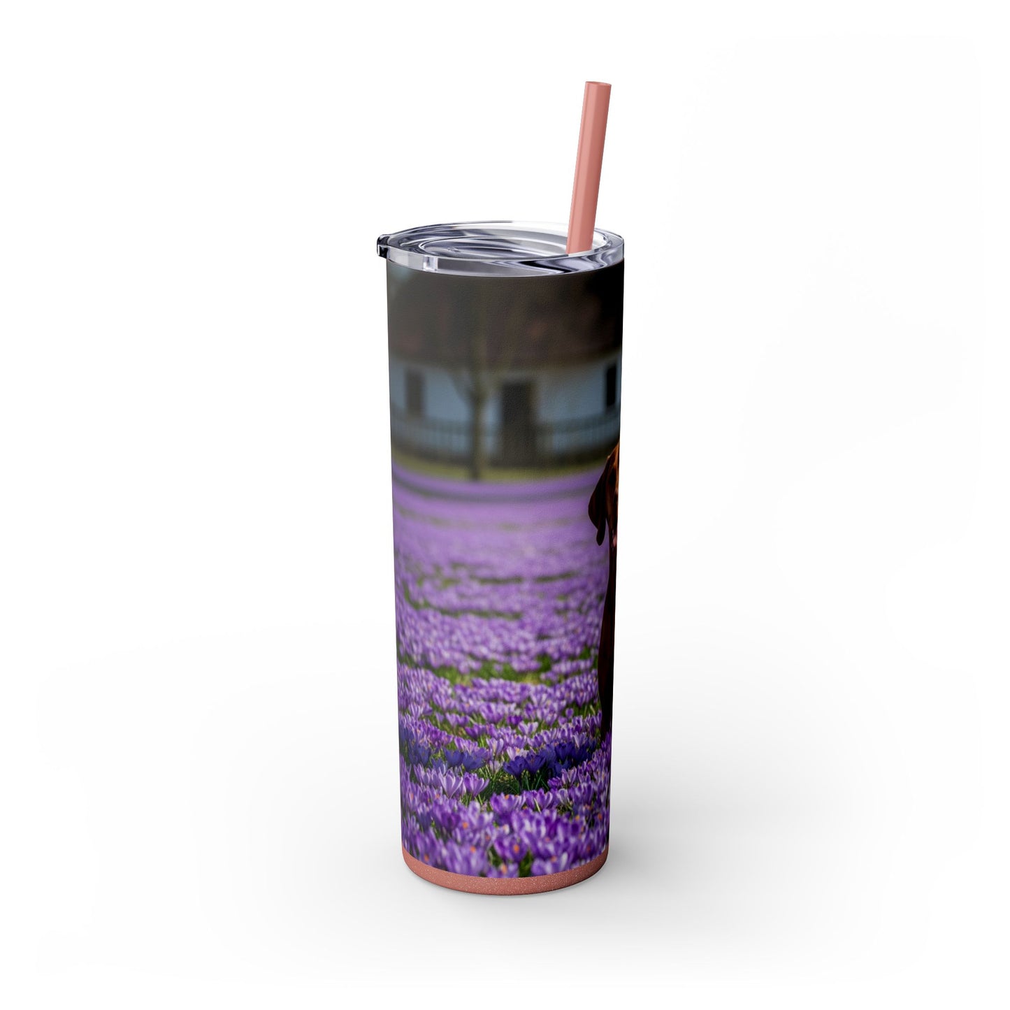 Vizsla Tumbler with Straw, 20oz