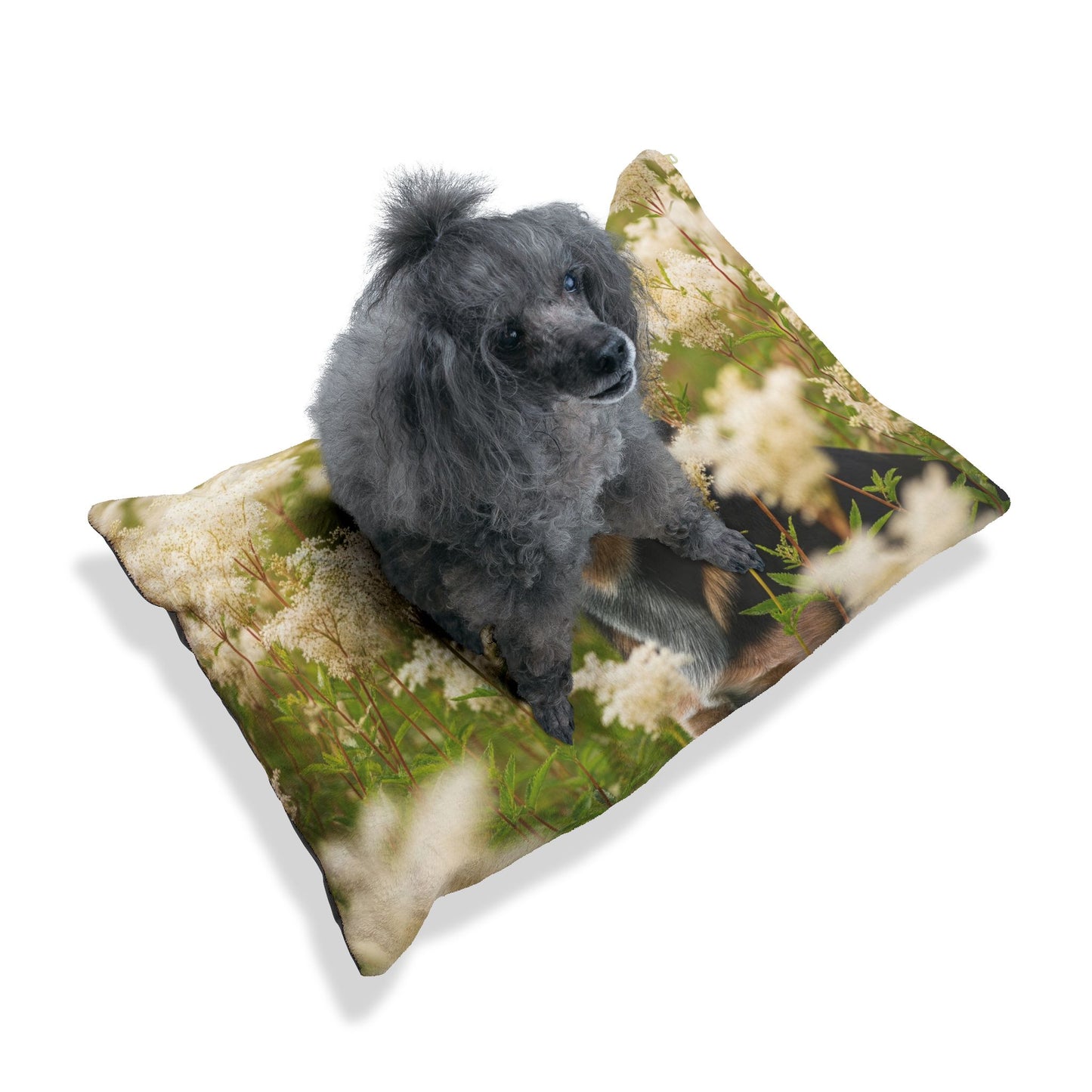 Lancashire Heeler Pet Bed