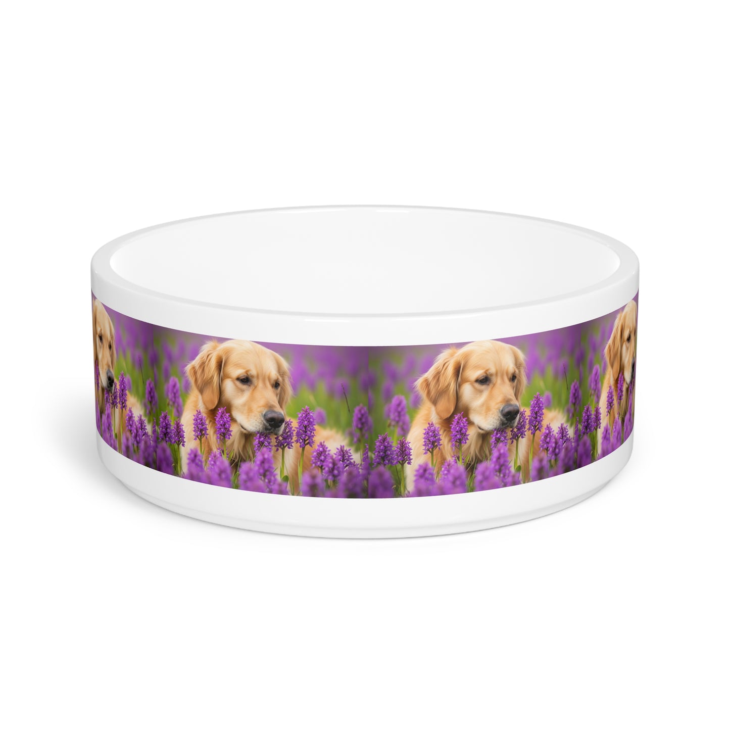 Golden Retriever Pet Bowl