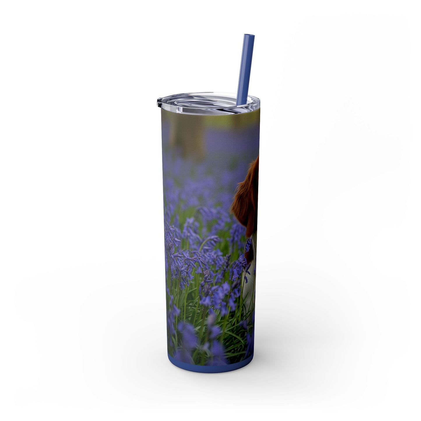 Welsh Springer Spaniel Skinny Tumbler with Straw, 20oz