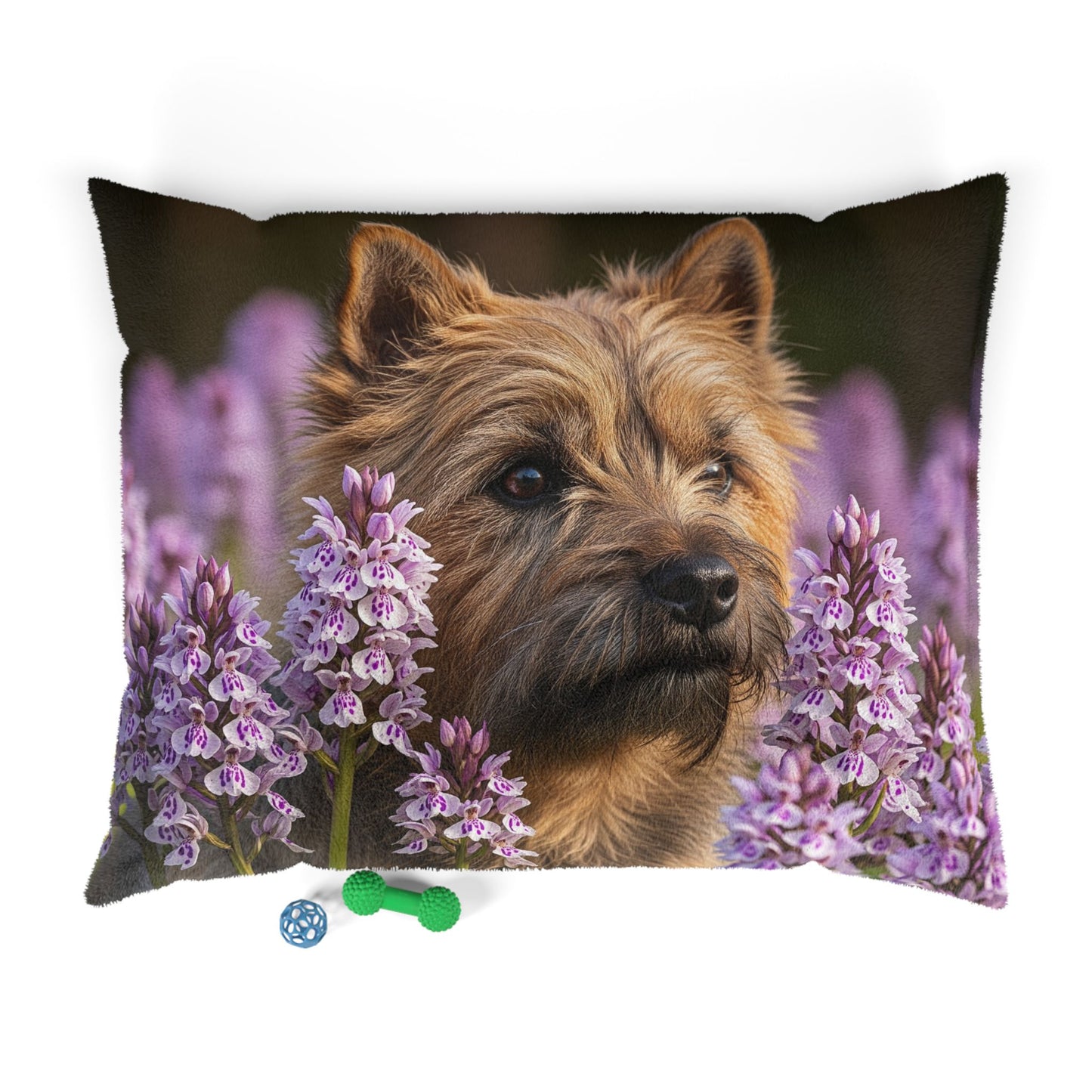 Cairn Terrier Pet Bed