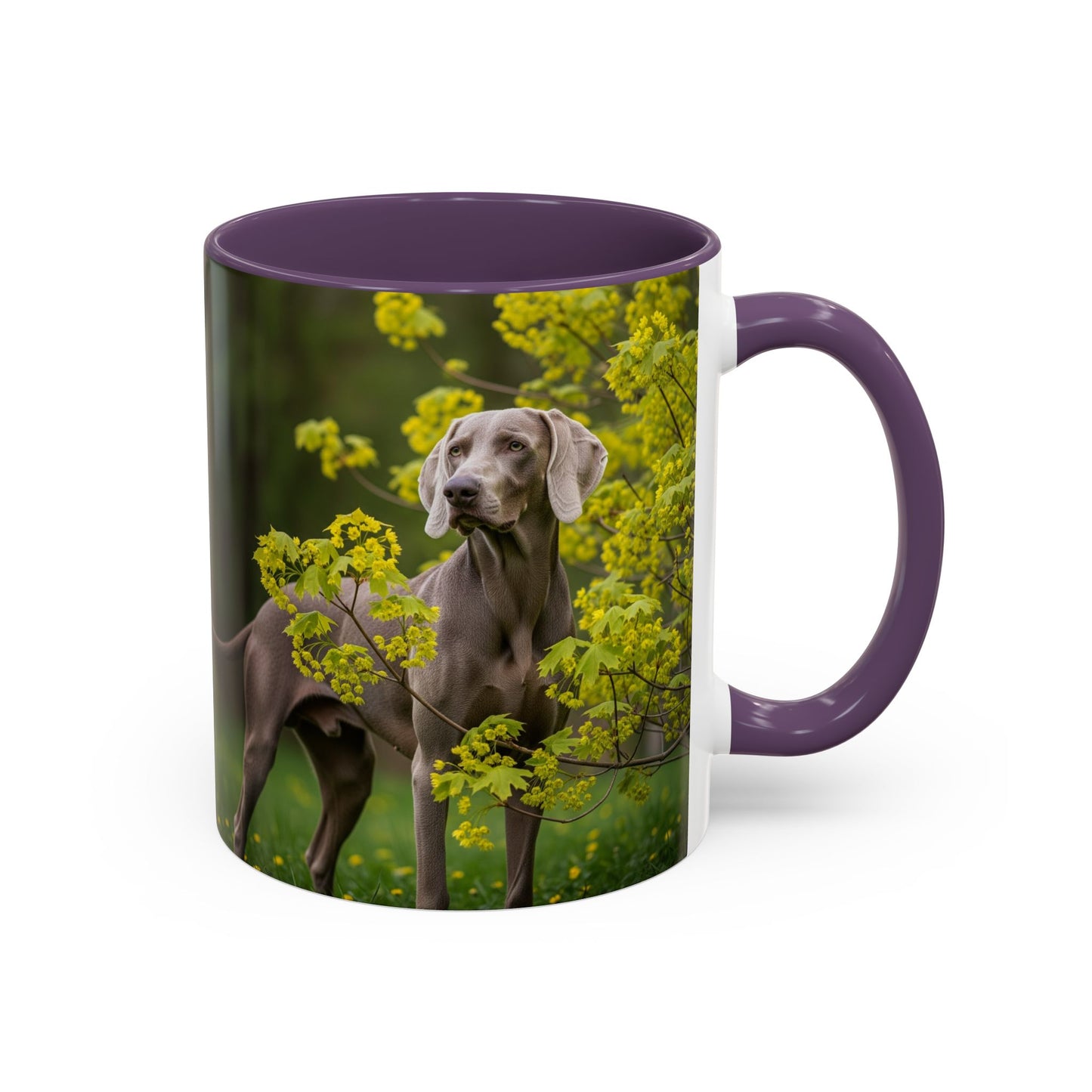 Weimaraner Accent Coffee Mug - Perfect Gift for Dog Lovers
