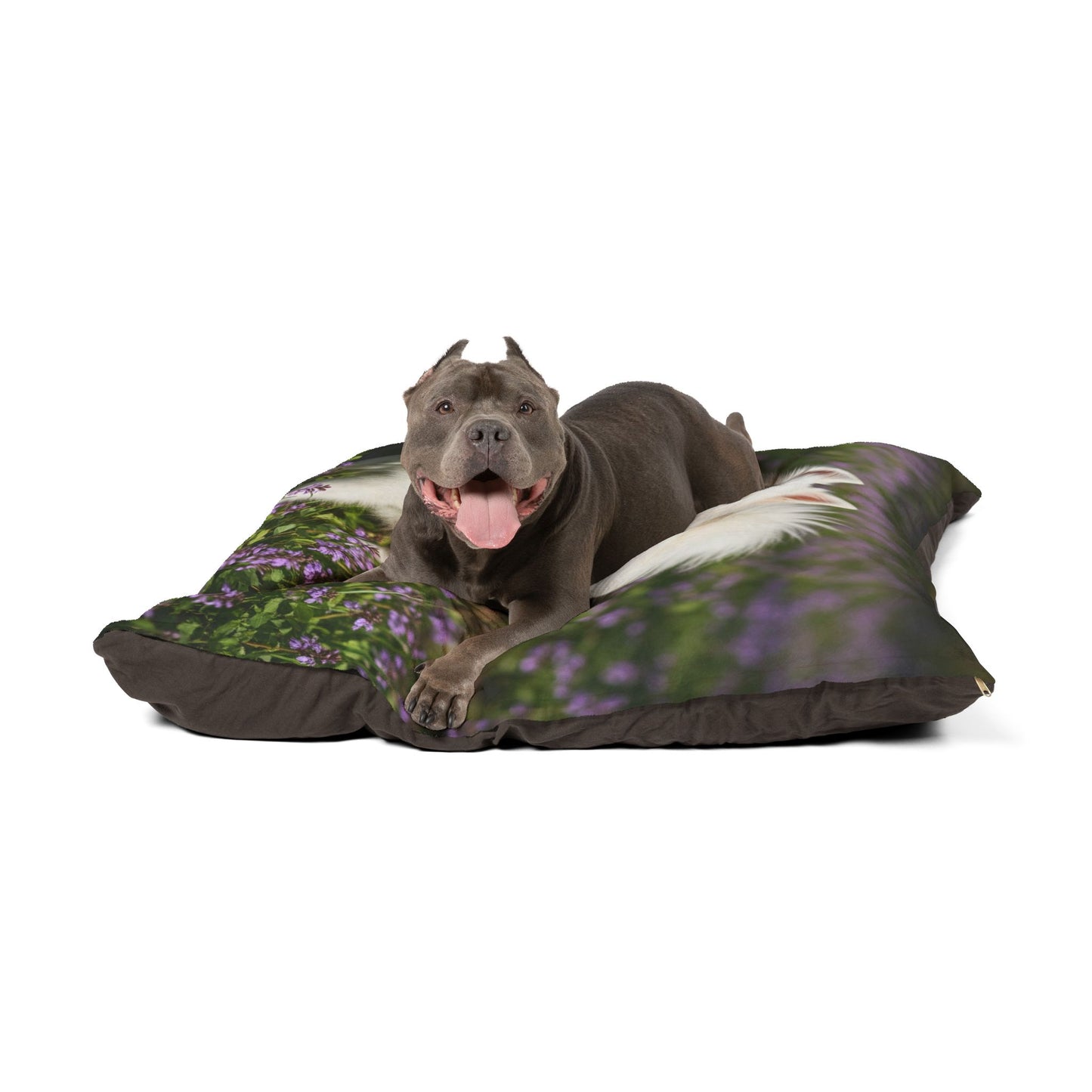 German Spitz Pet Bed