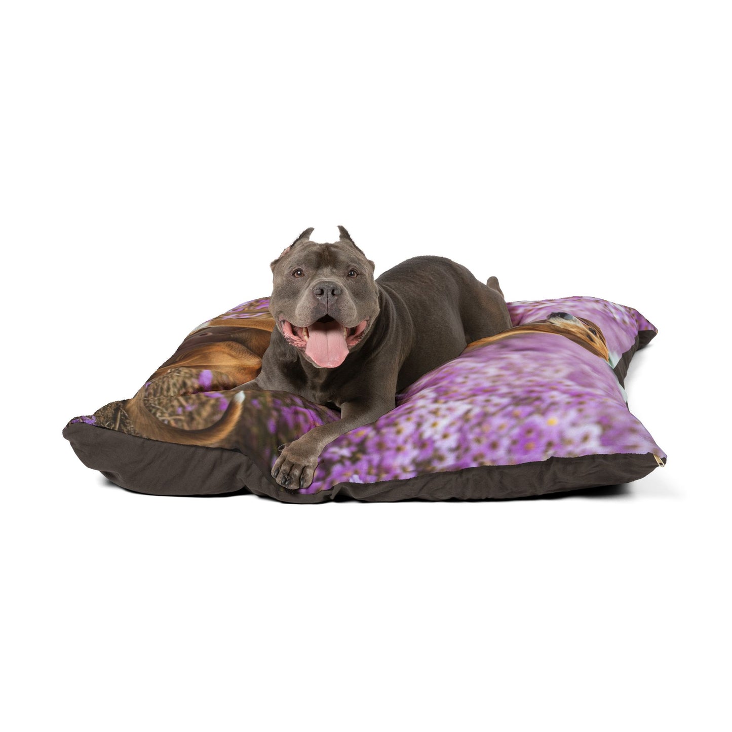 Banjara Hound Pet Bed