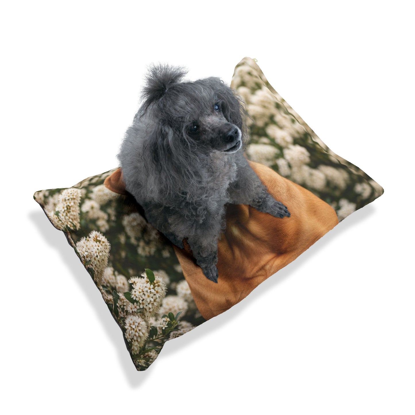 Dogue de Bordeaux Pet Bed