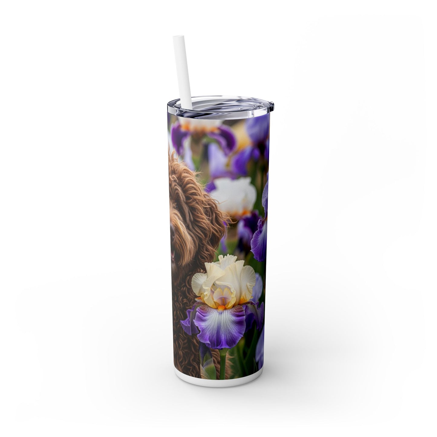 Barbet Skinny Tumbler with Straw, 20oz