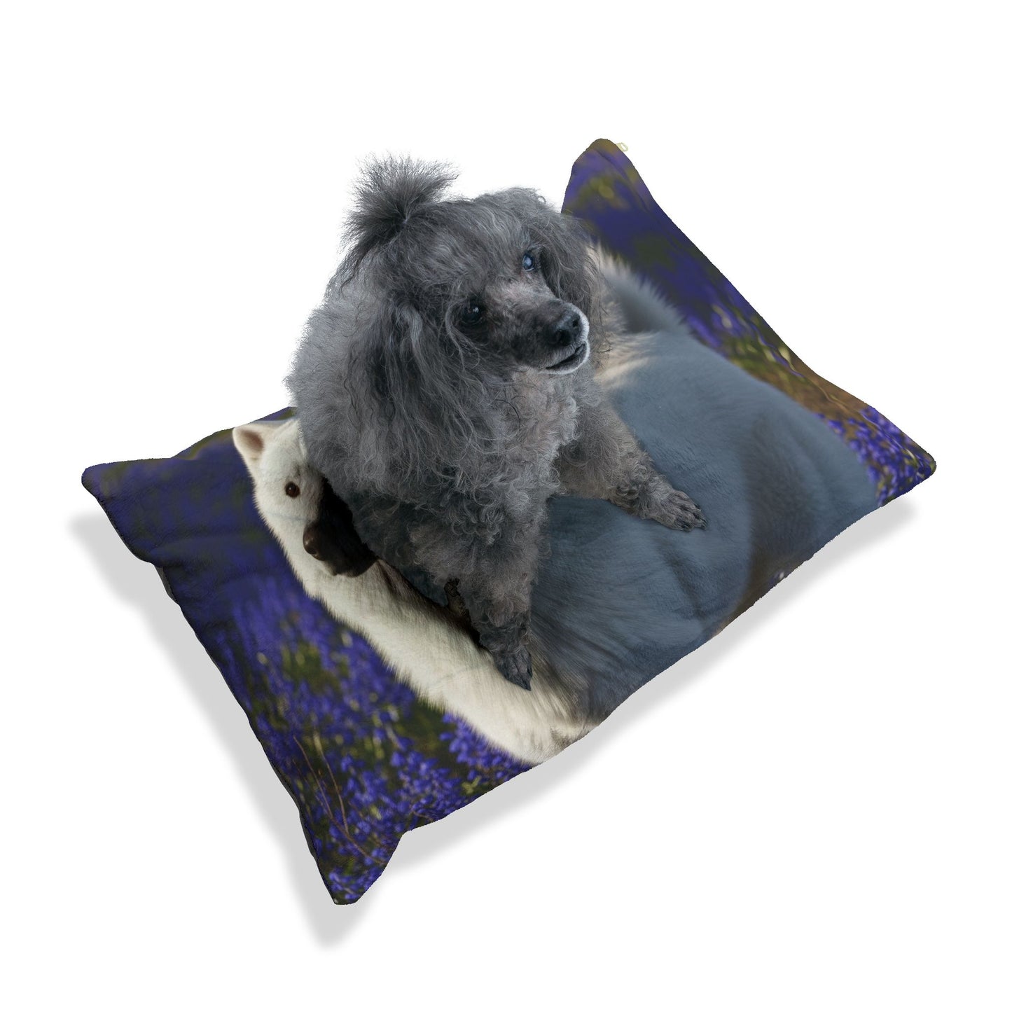 Yakutian Laikas Pet Bed